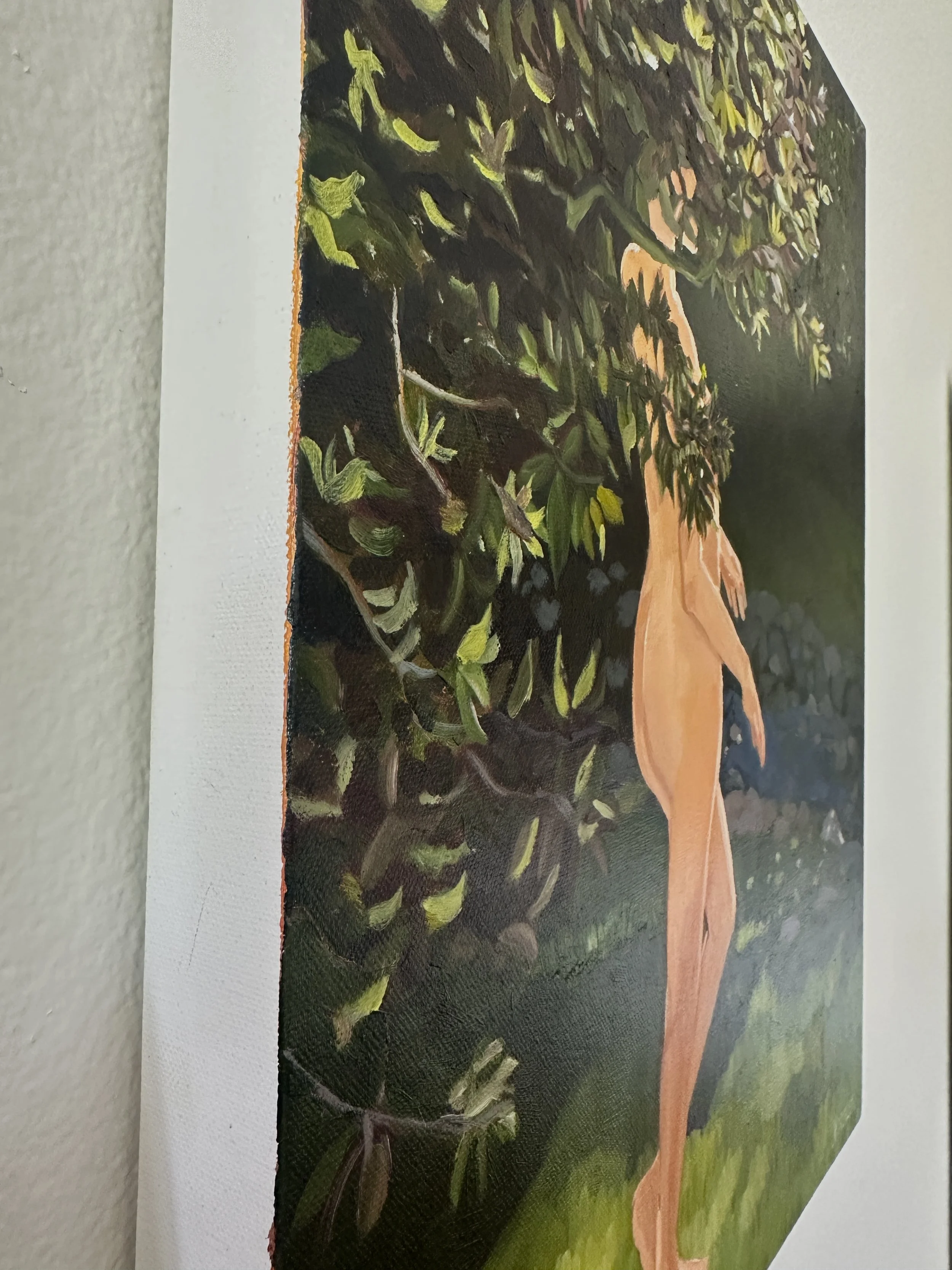 Sunlit left side.jpg