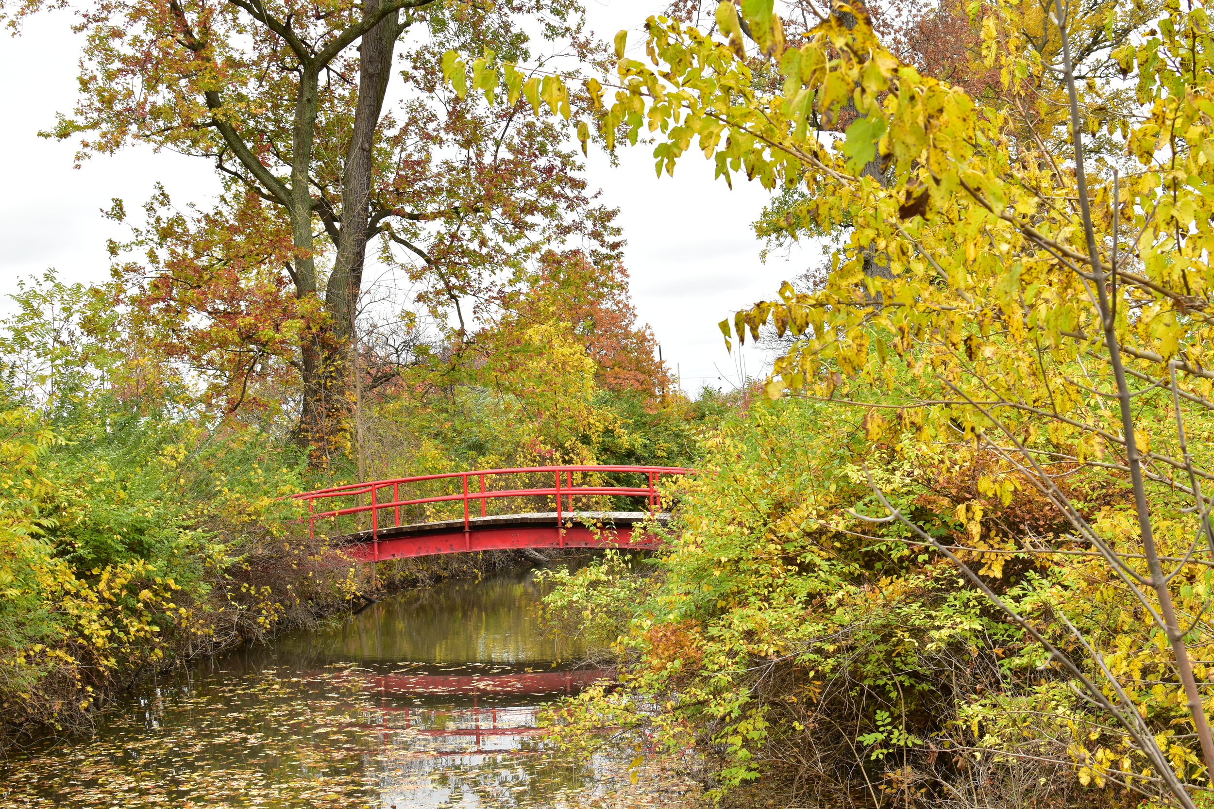 DSC_4651.JPG