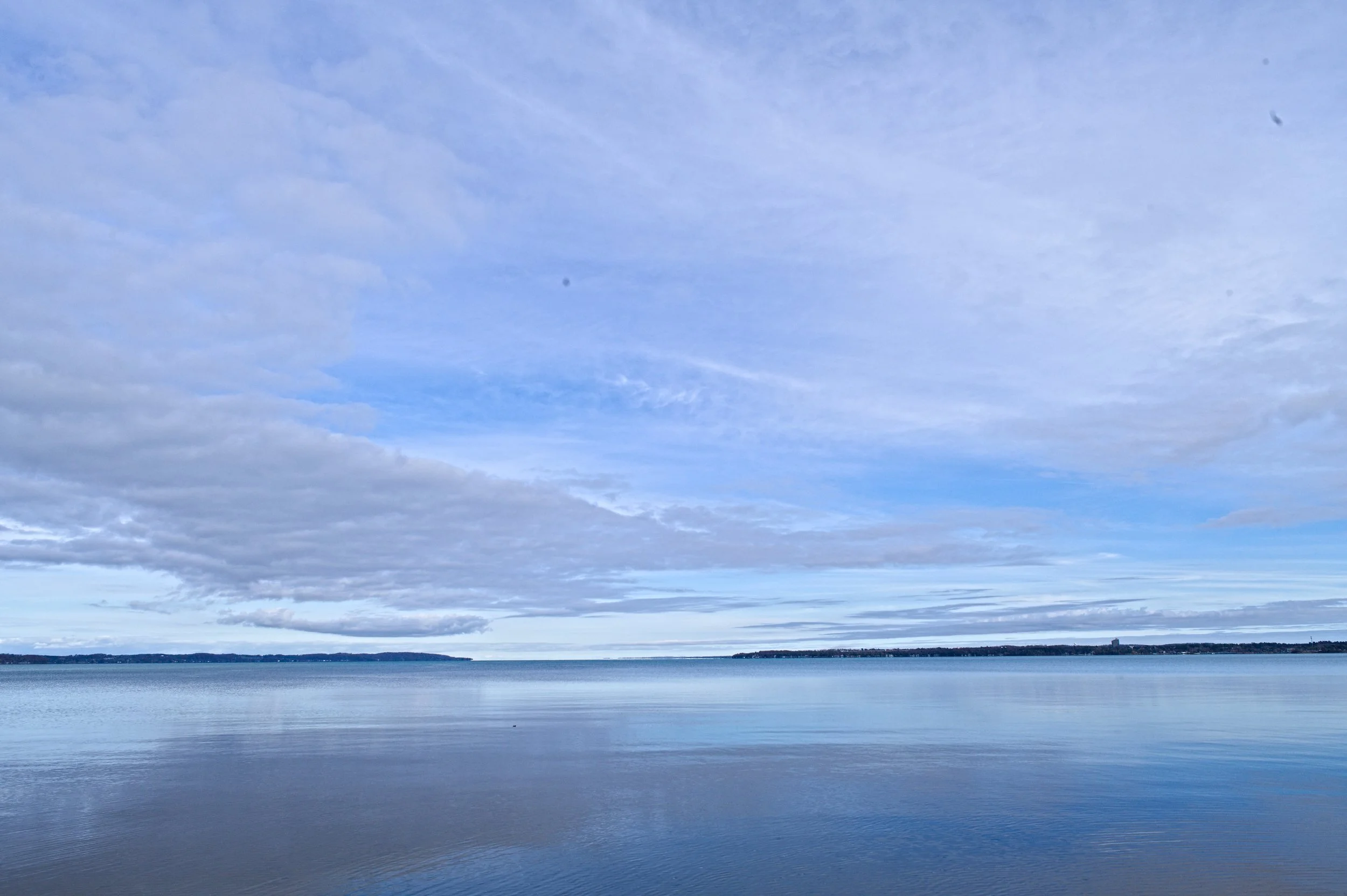D85_3204.jpg