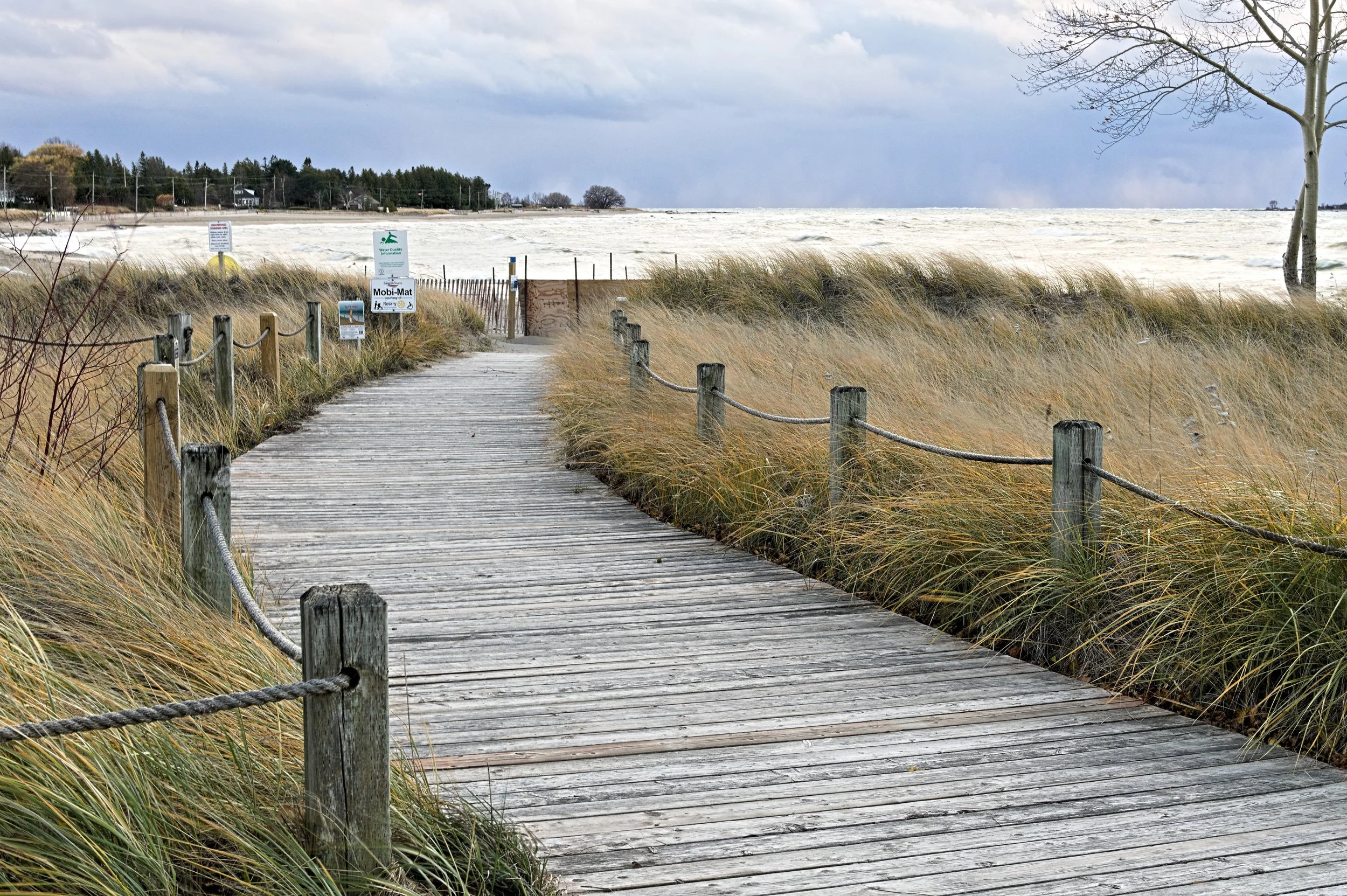 D85_3073.jpg