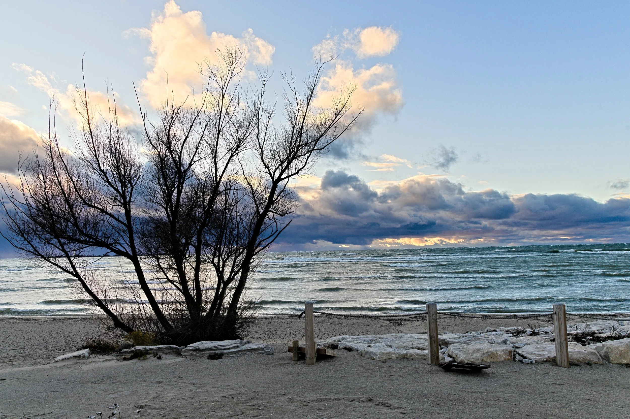 D85_3072.jpg