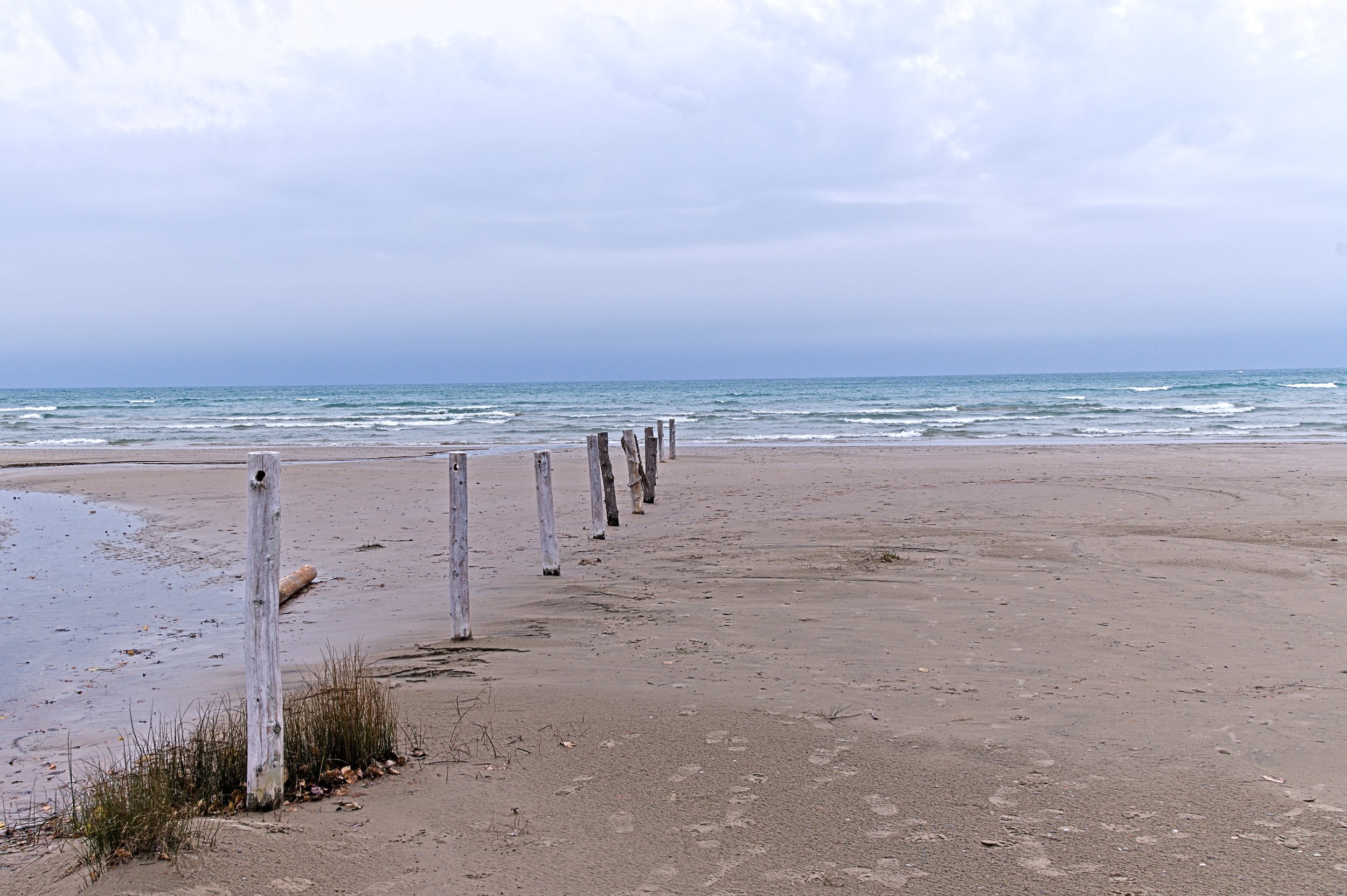 D85_3028.jpg