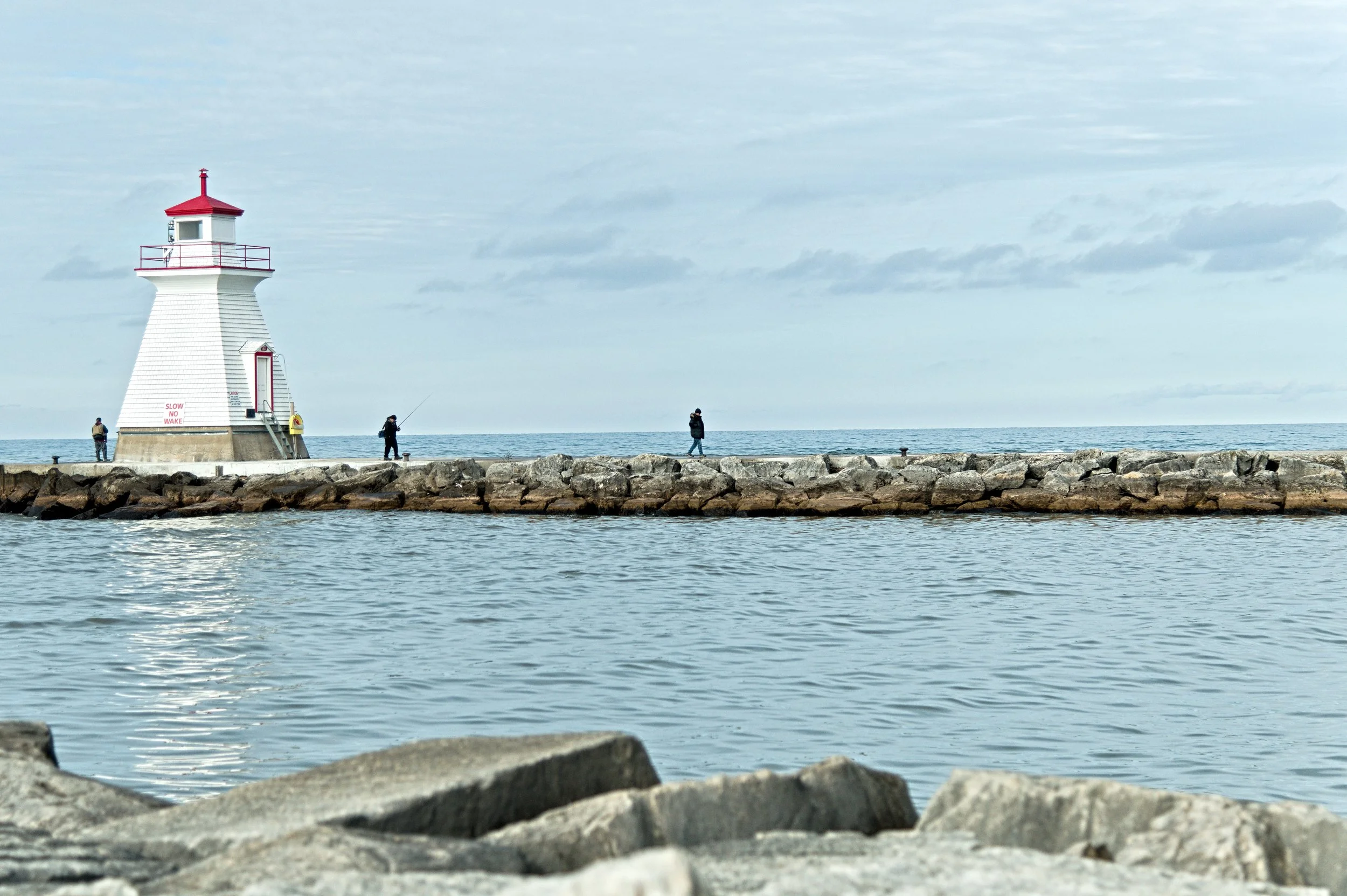 D85_2965.jpg