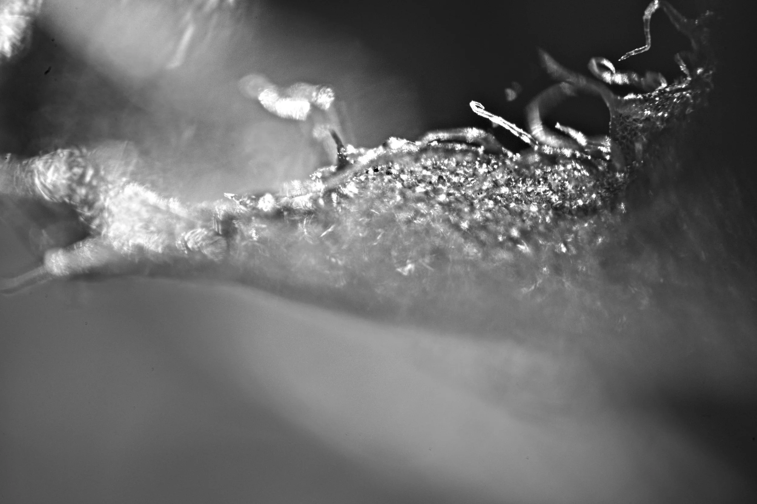 D85_4355.jpg