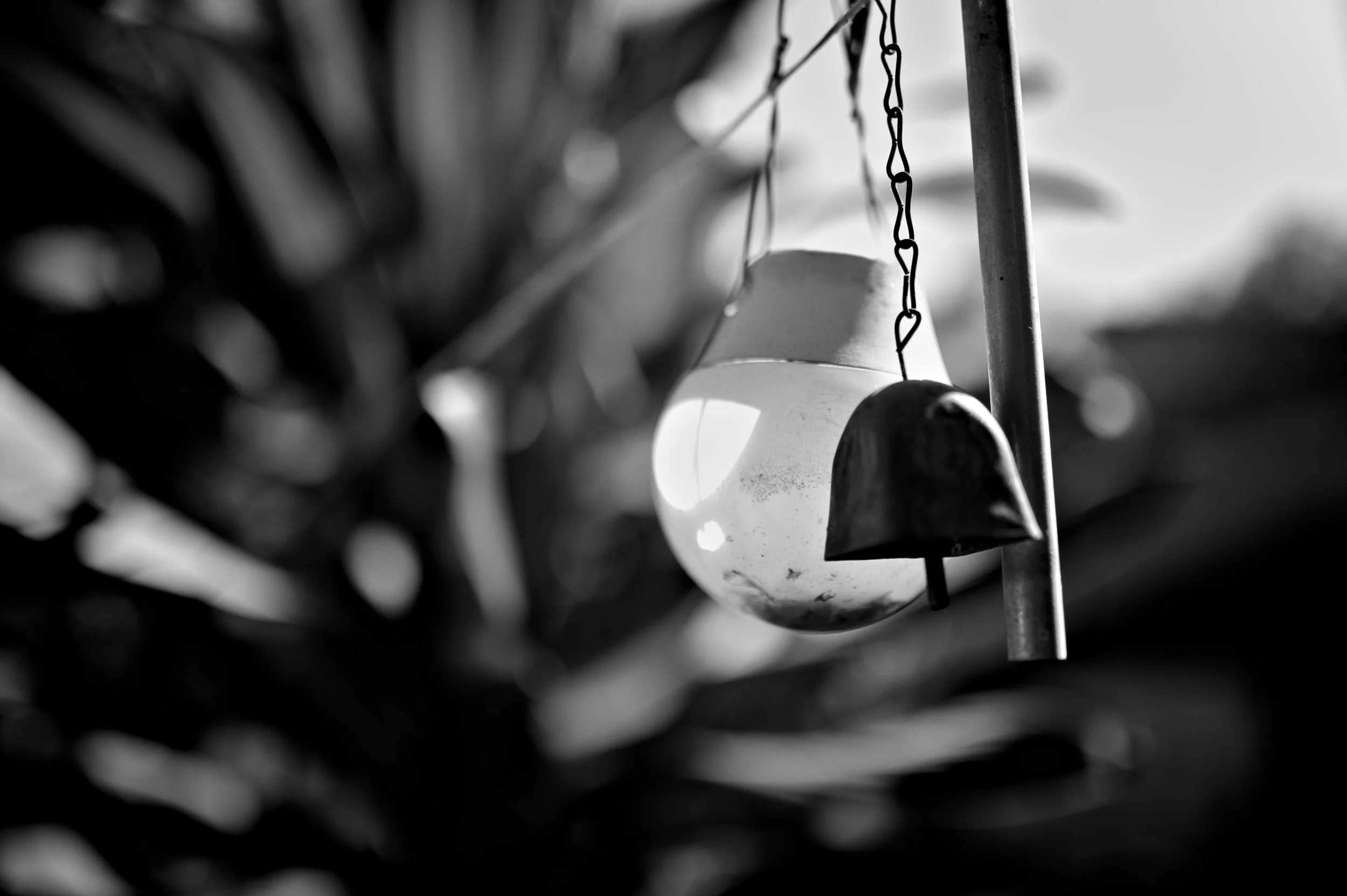 D85_4300.jpg