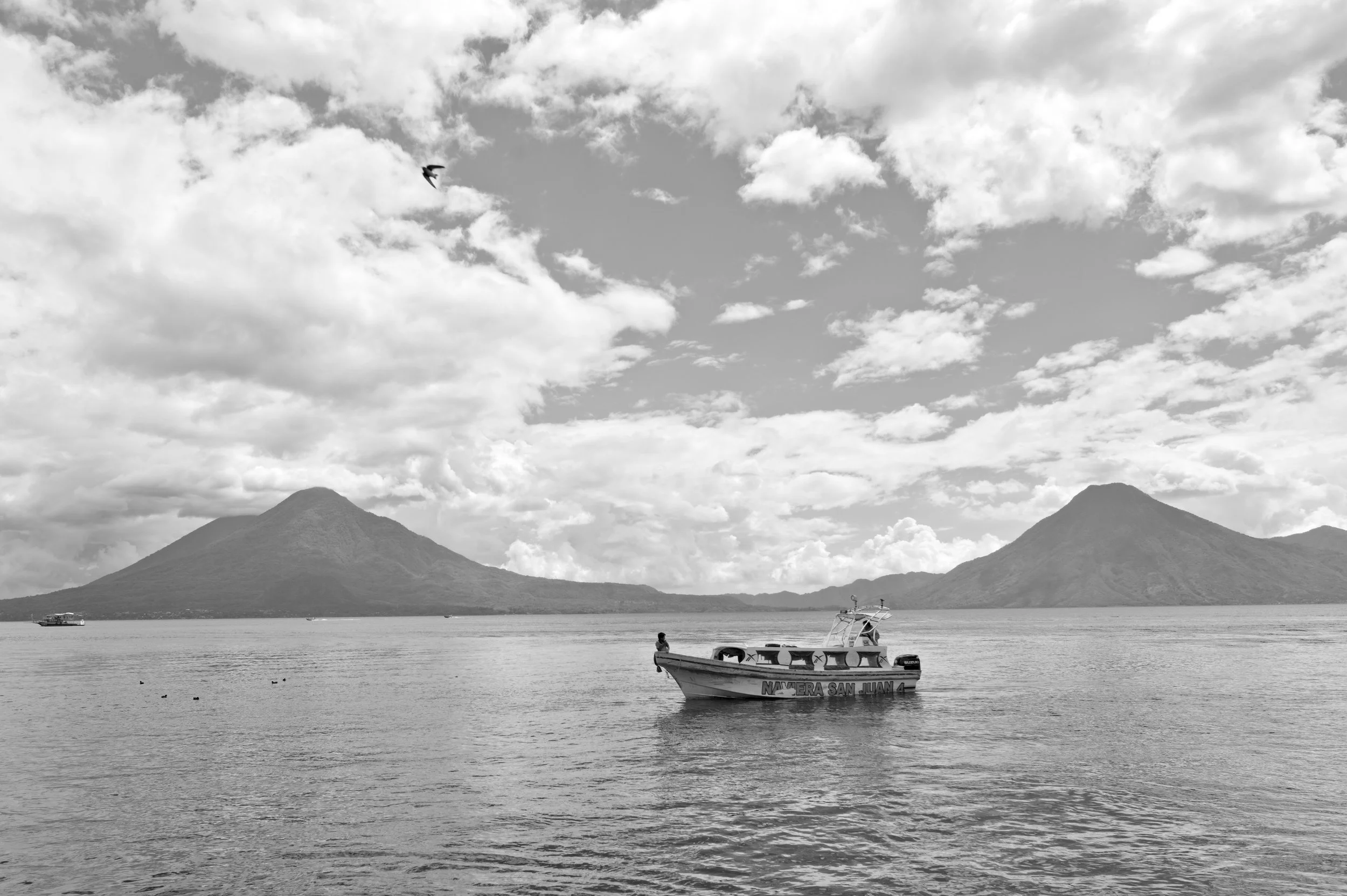 D85_6152.jpg