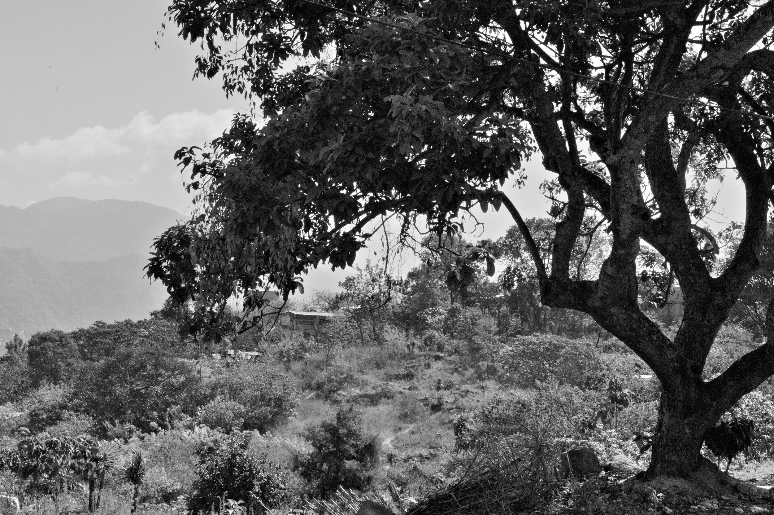 D85_6442.jpg
