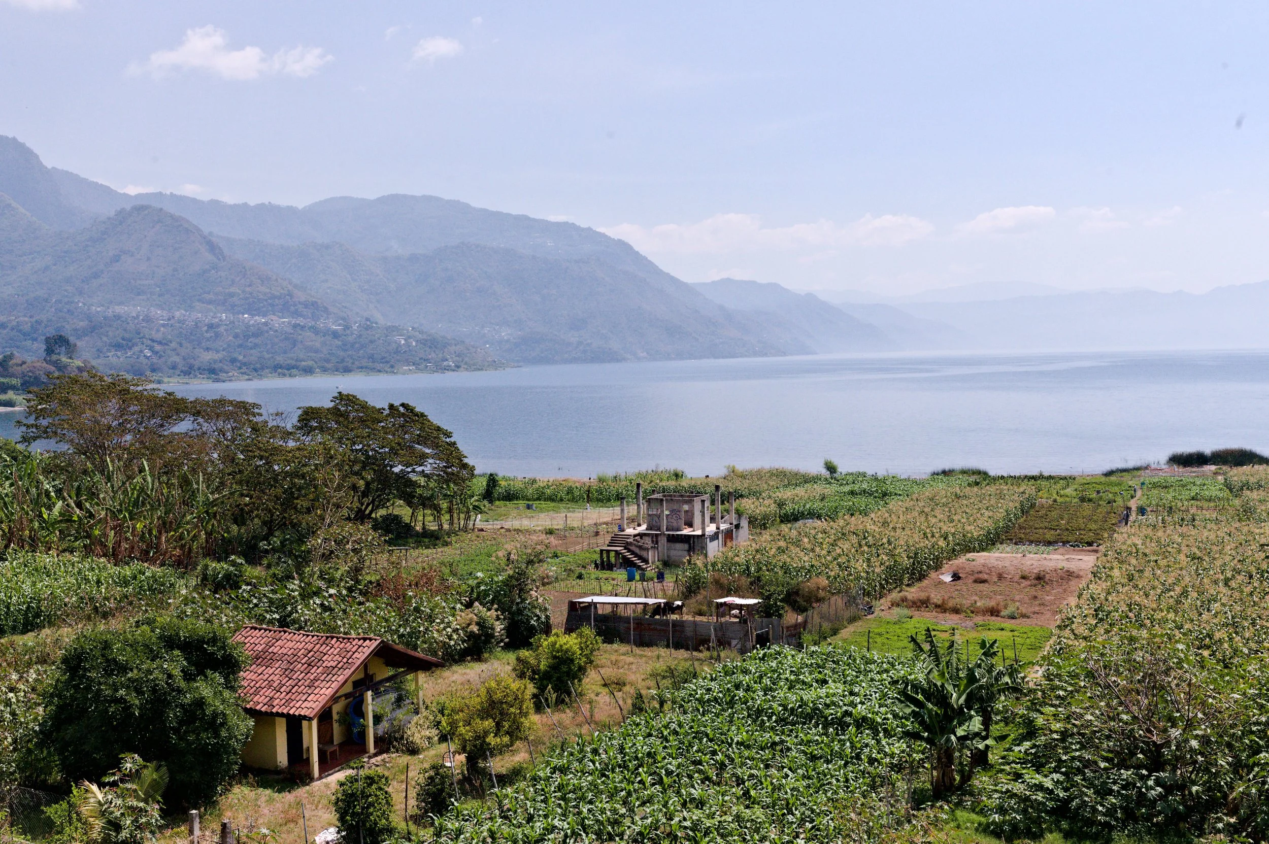 D85_6497.jpg