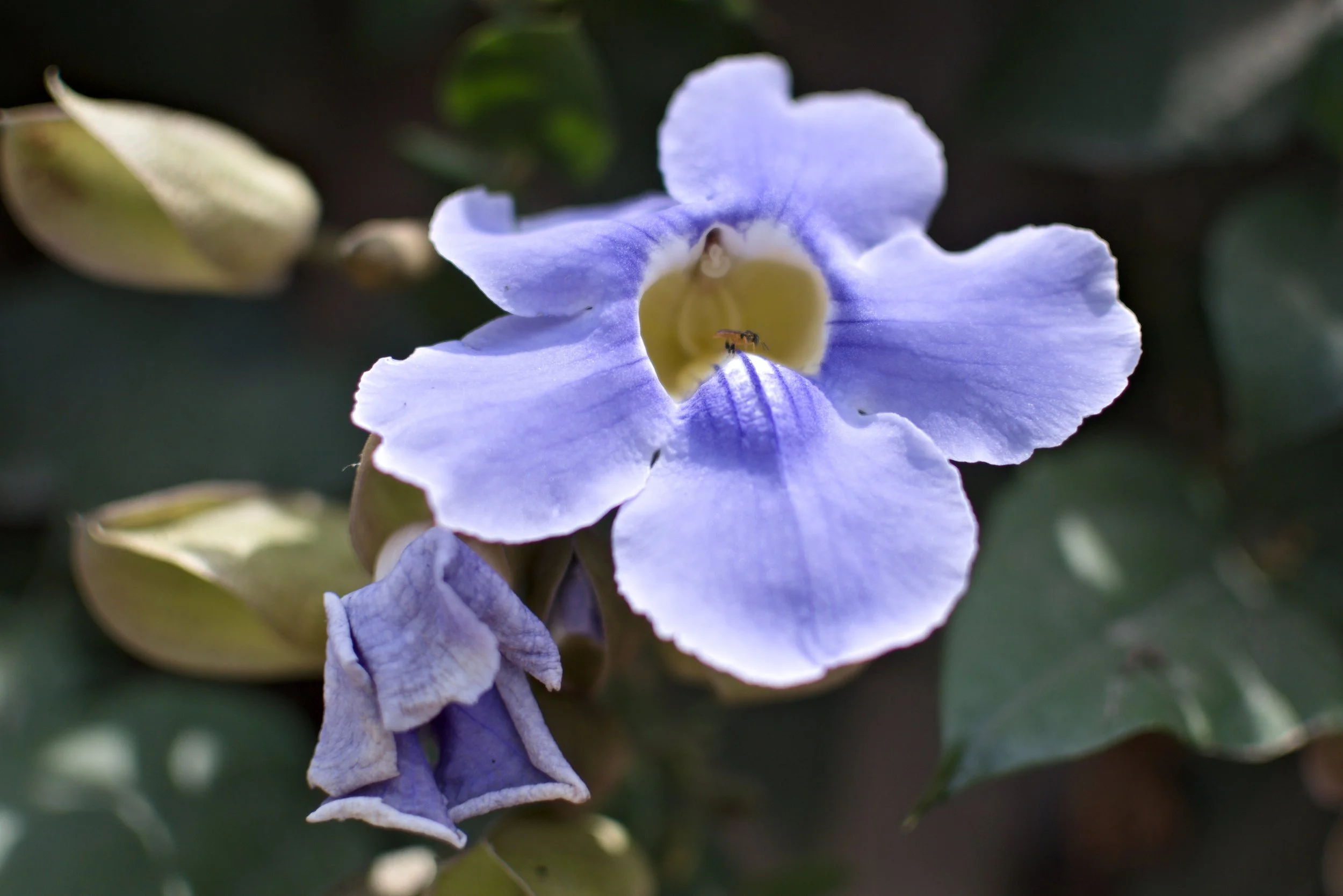DSC_7095.jpg