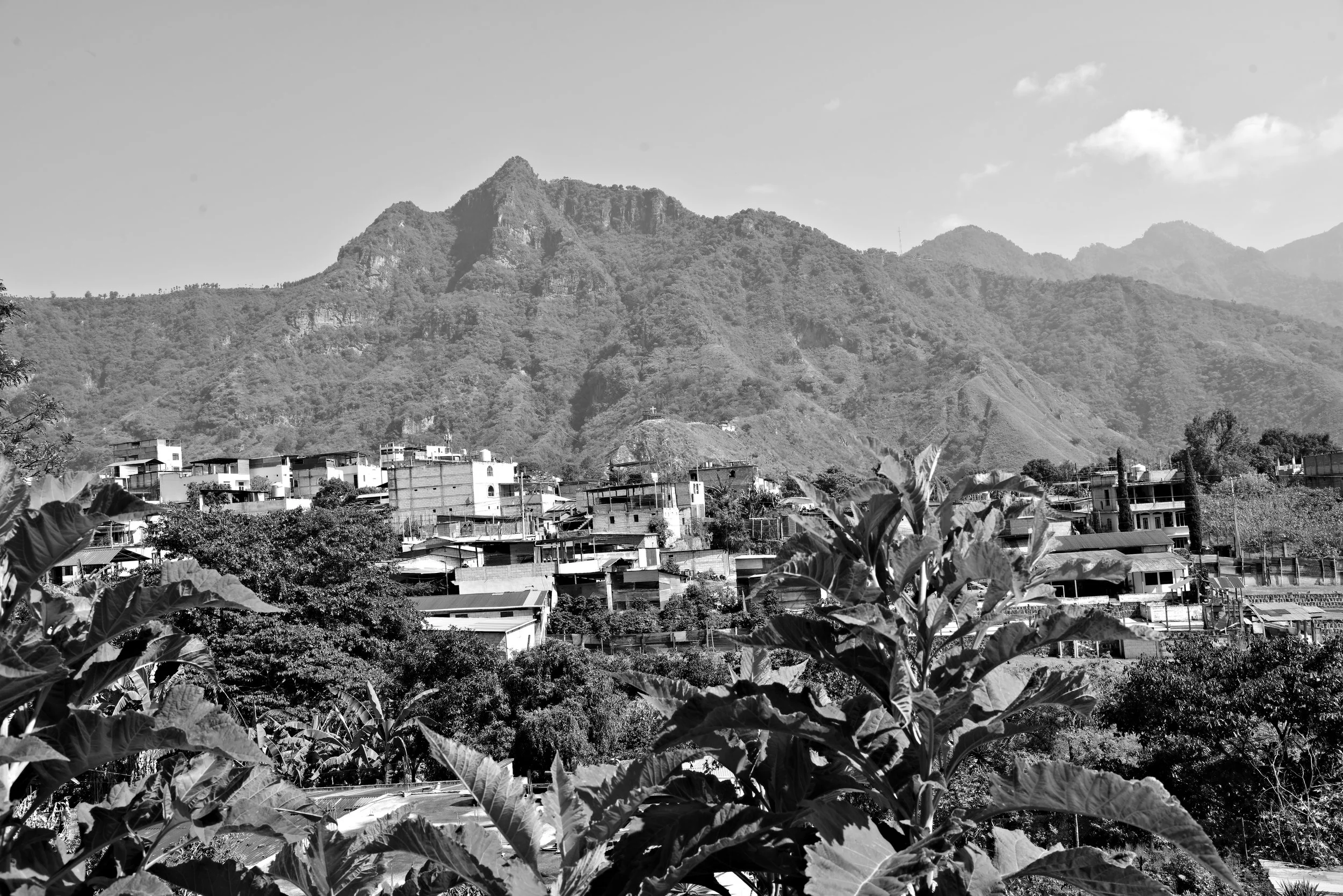 DSC_6664.jpg