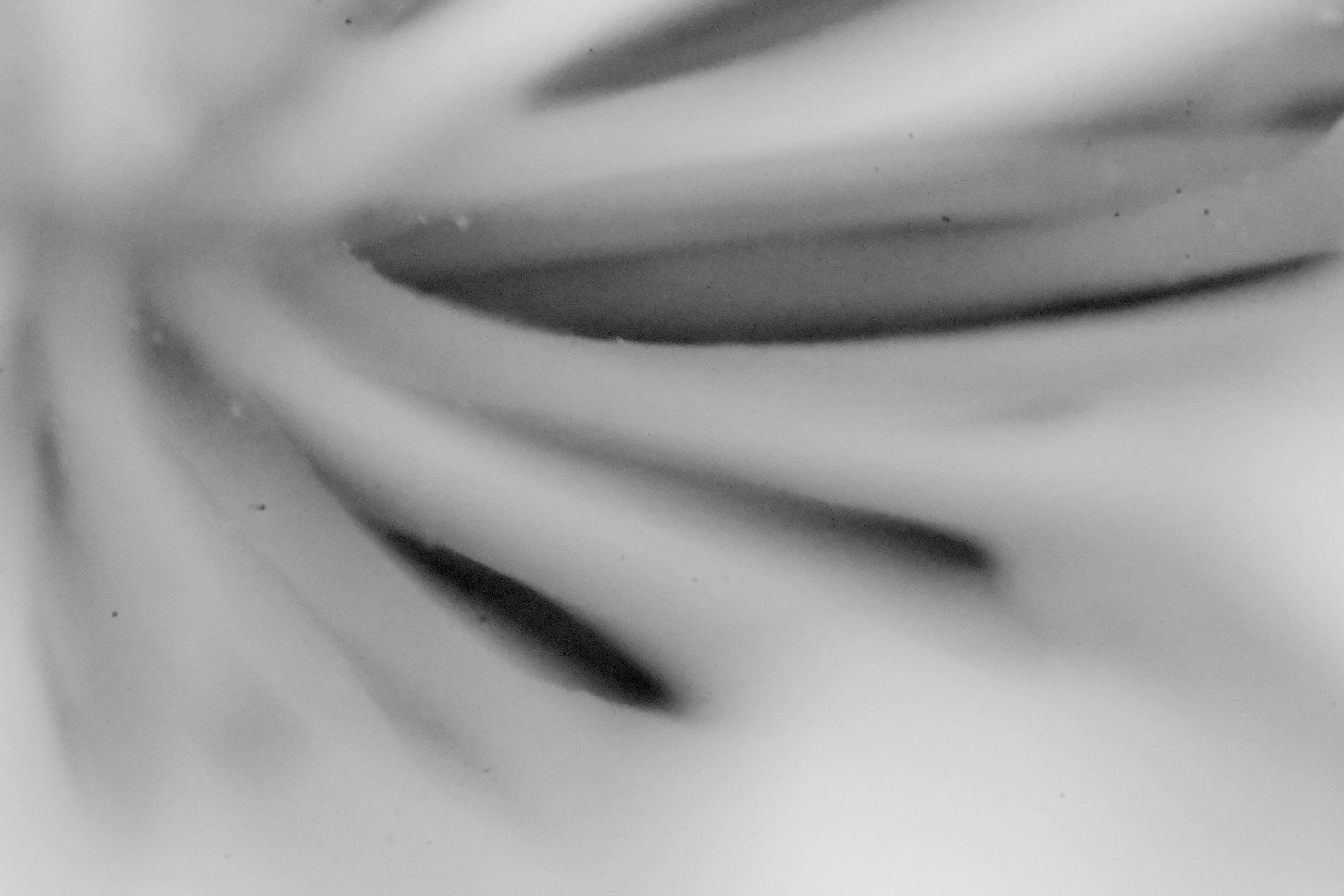 DSC_7122.jpg