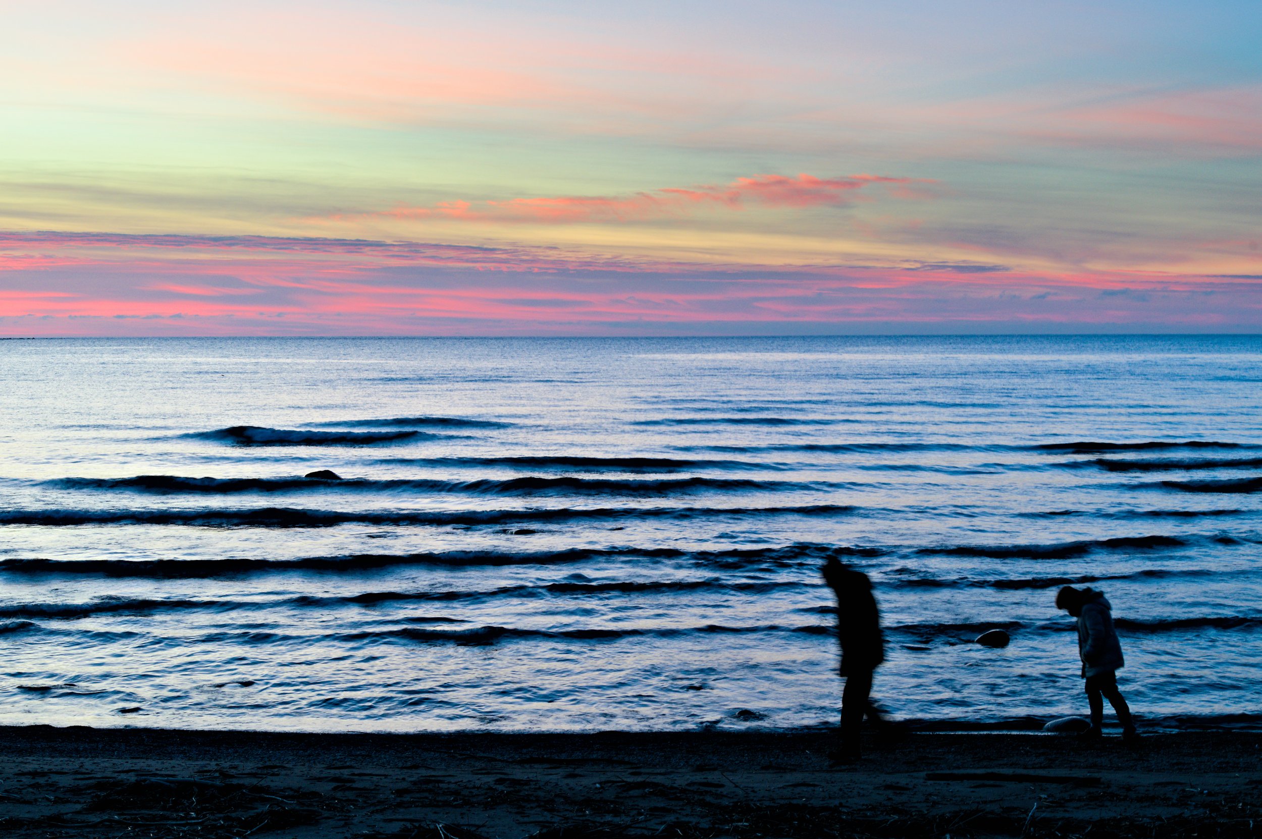 D85_3001.jpg
