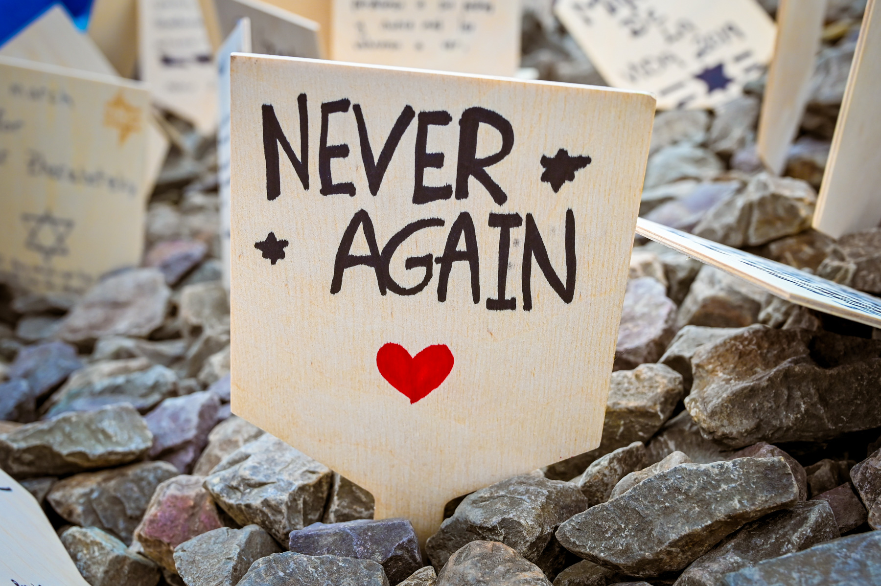 NEVER AGAIN .jpg