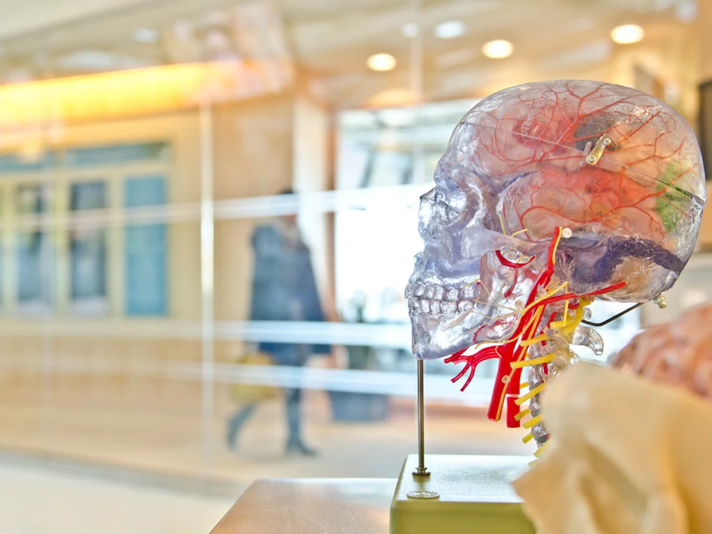 Concussions are Serious Business