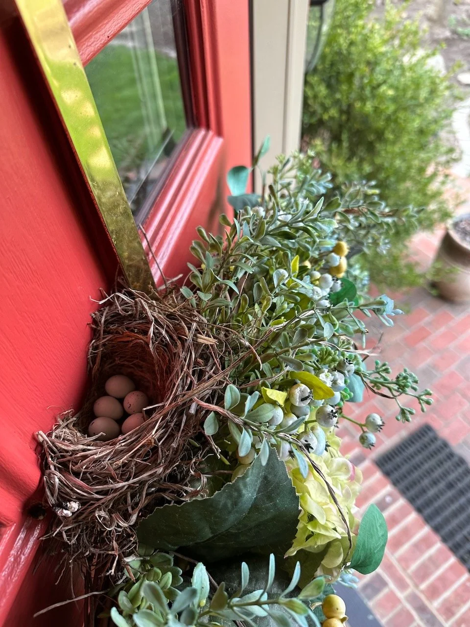 Opening The Windows To New Life