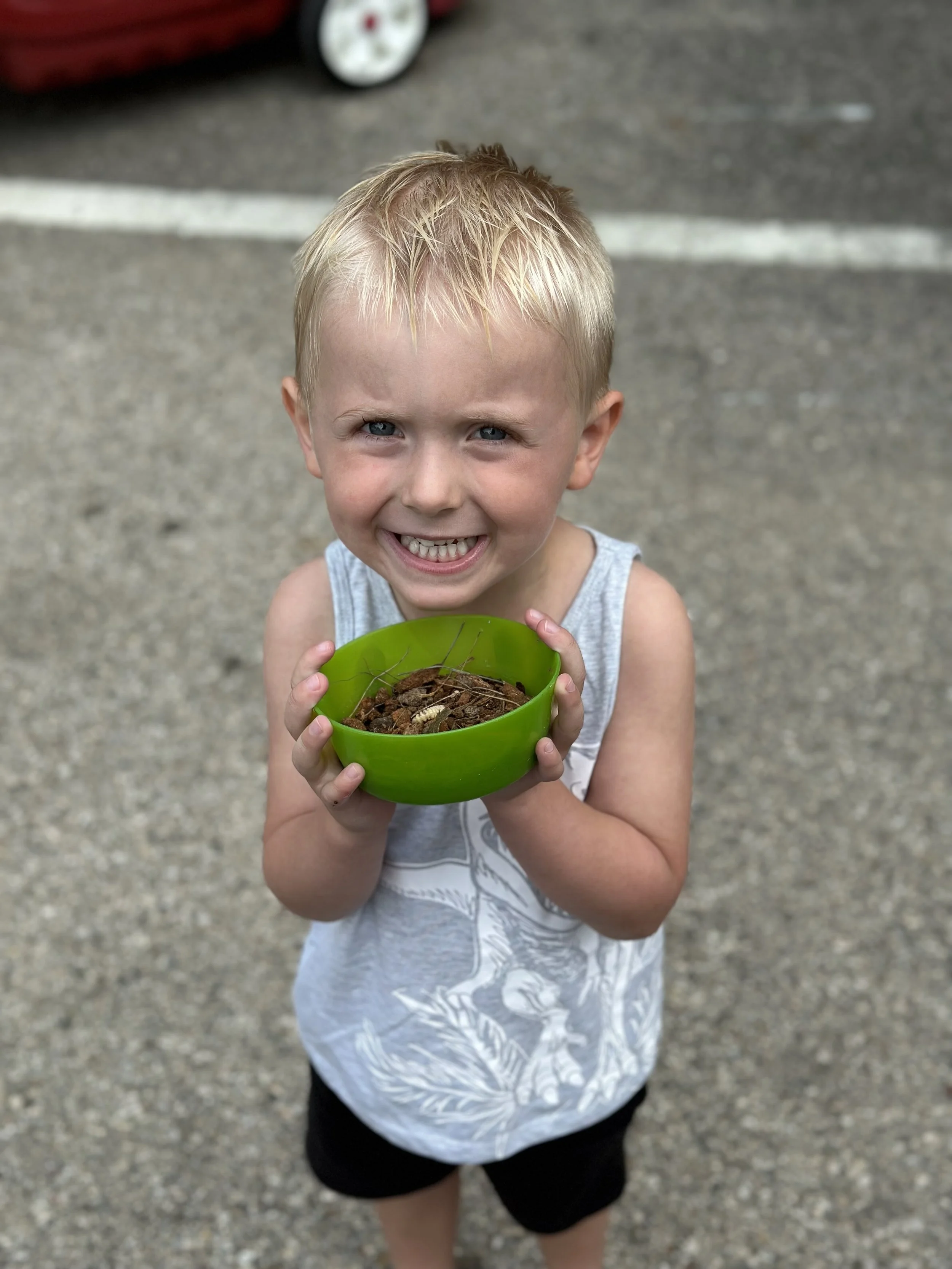 The Journey Of A Worm