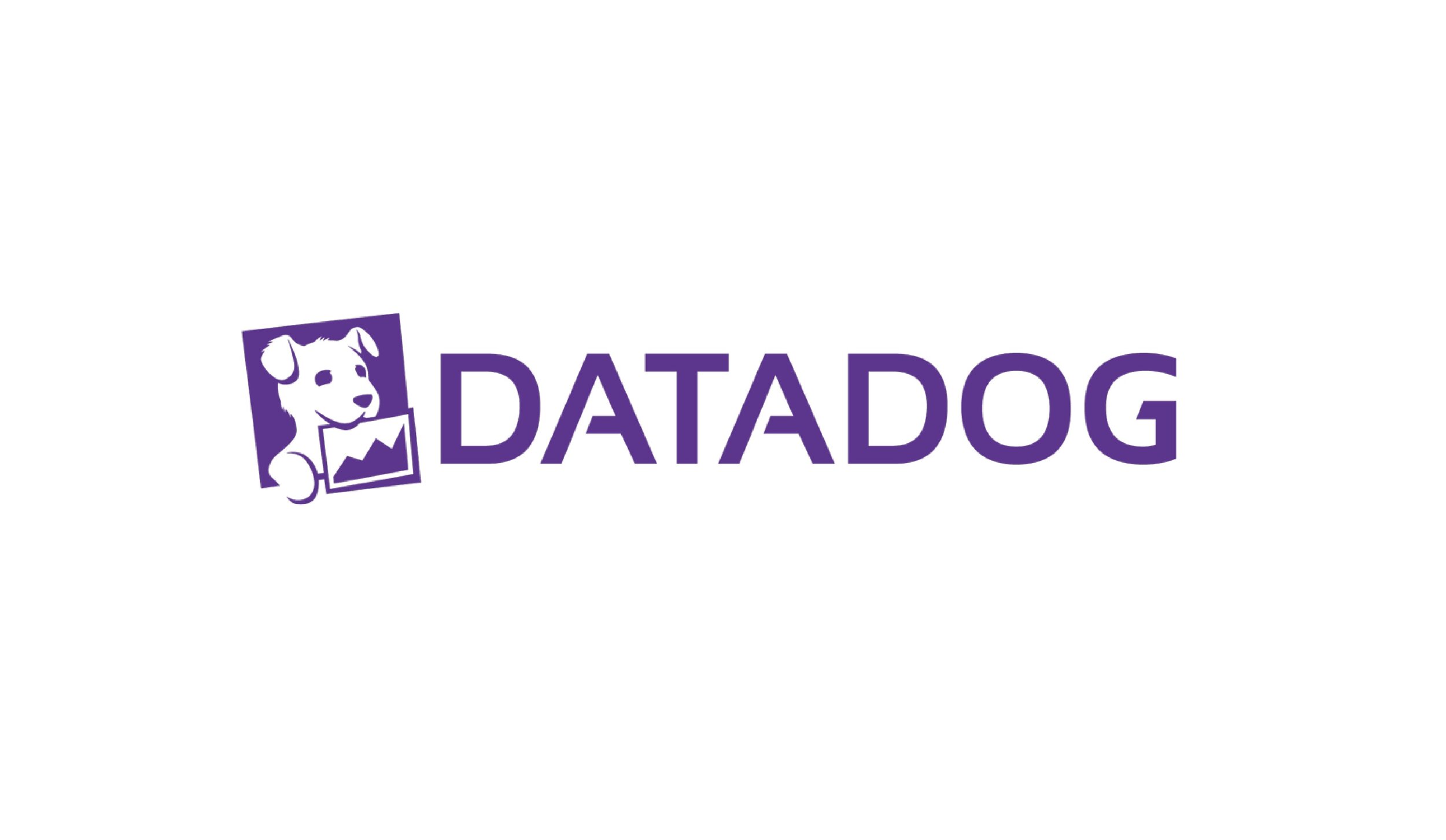 Datadog slide.jpg
