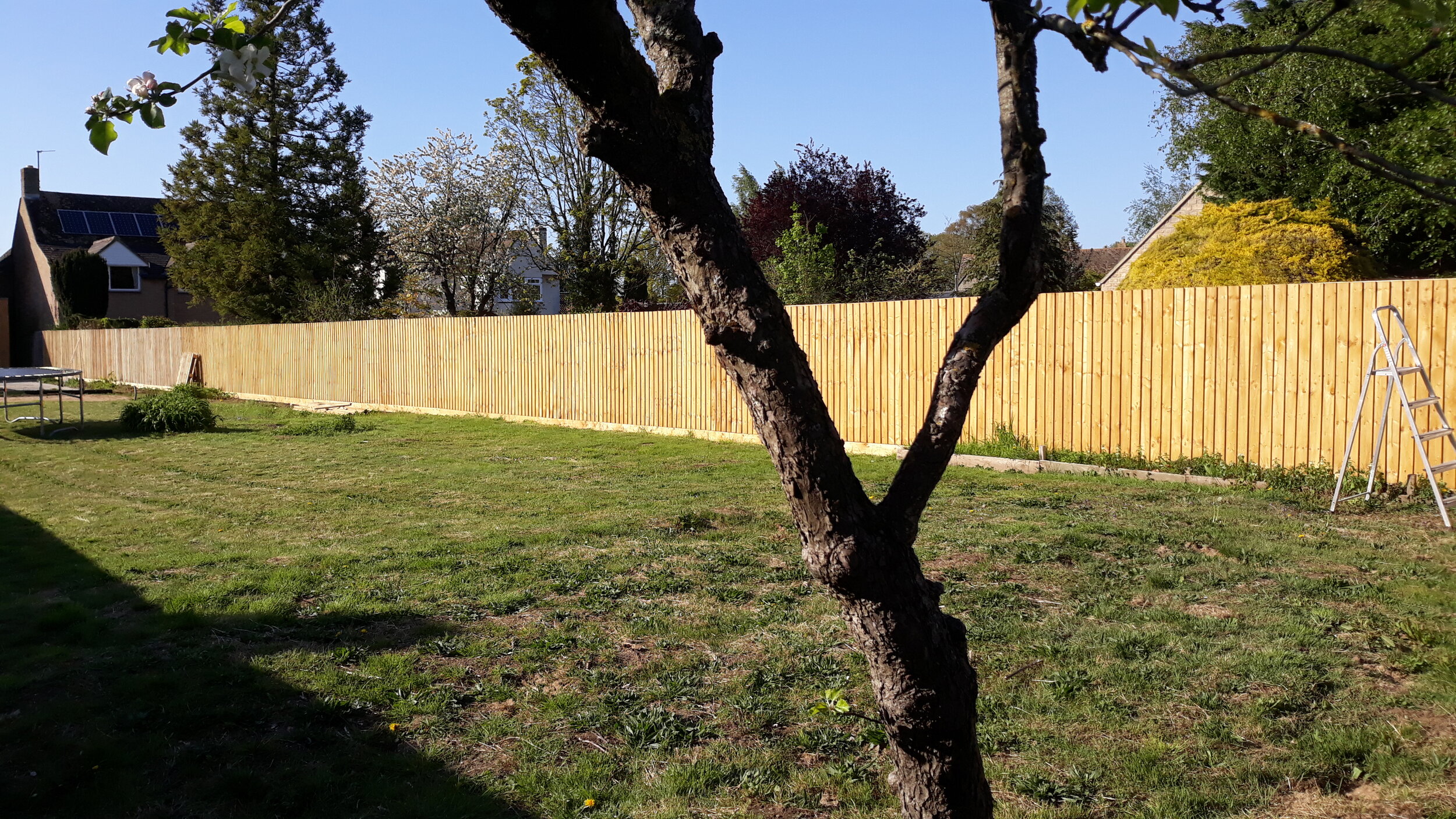 New run of closeboard fencing