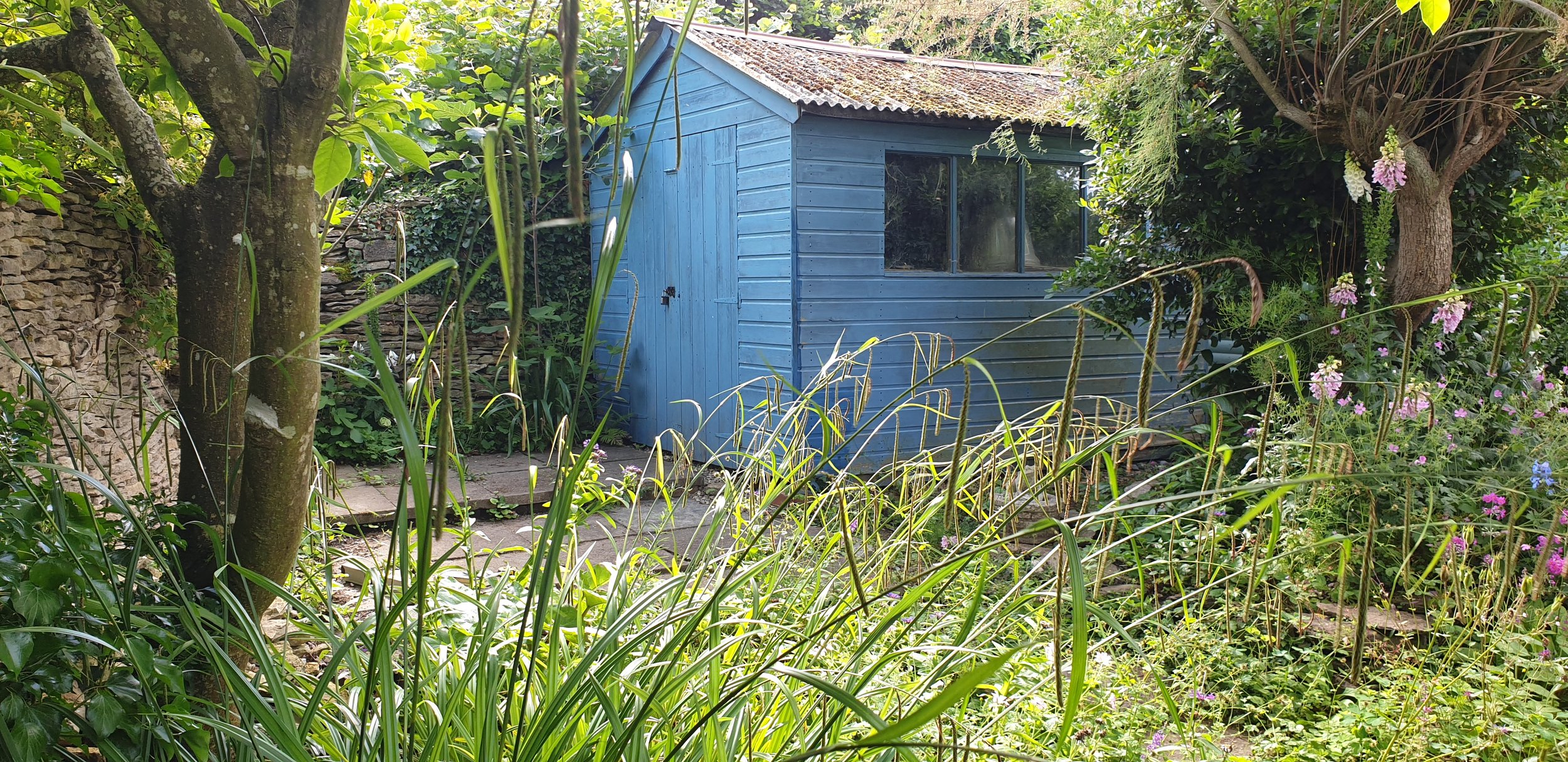 43 - before - old shed & patio need replacing.jpg