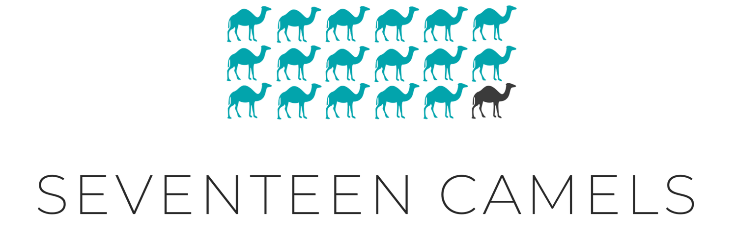 Seventeen Camels