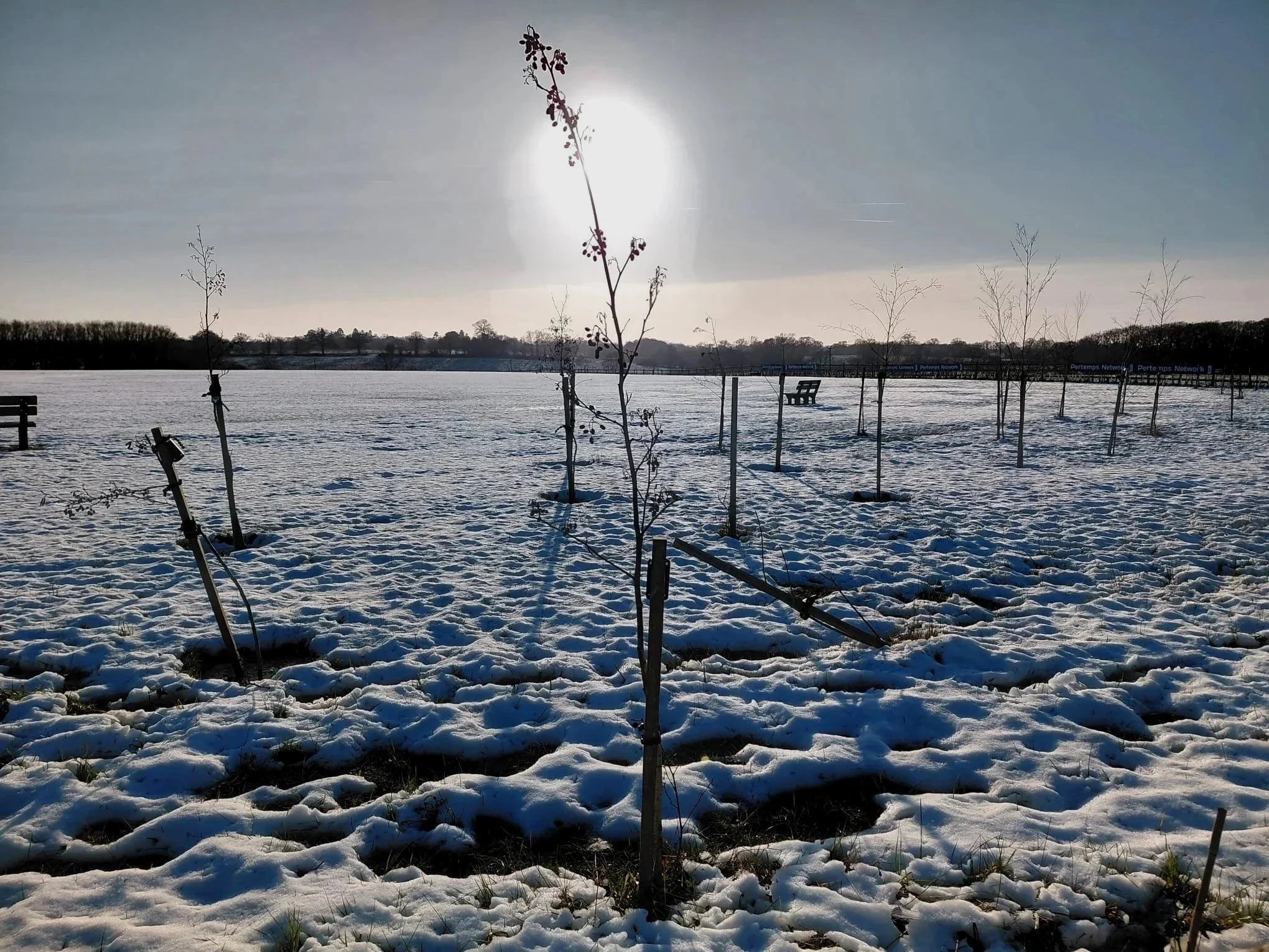 Landscape winter.jpg