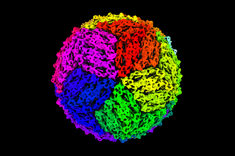 Update on the Coronavirus within the Maryknoll Family