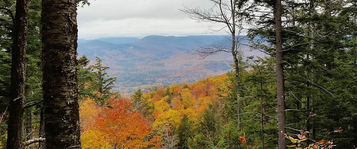 The Committee of Twelve (CO12)