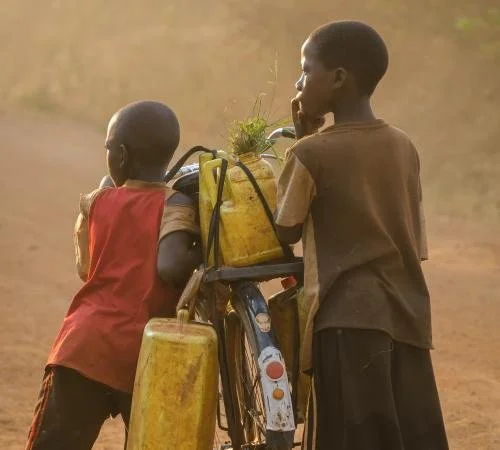 Sunday Scripture Readings - Join Other Maryknollers...