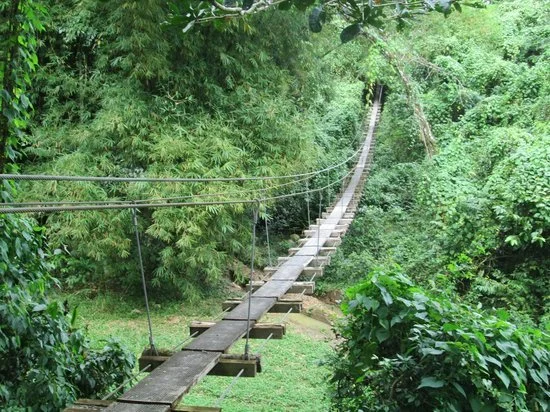 INVITATION - Committee of 12 - Living Into a Common Vision for Maryknoll