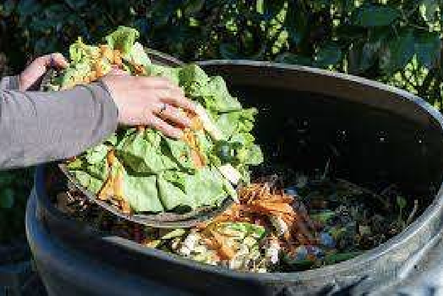 Green Kitchen: Mother Earth Invites Us to Be Farmers