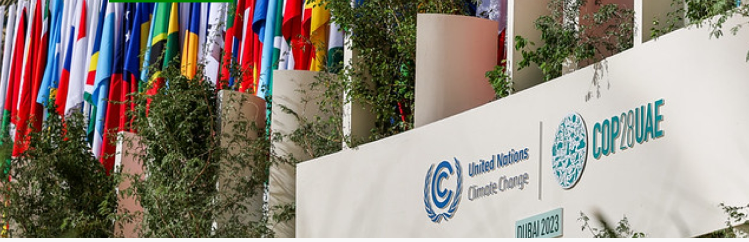 COP 28 Outcomes by Lisa Sullivan of MOGC