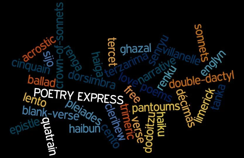 CANCELED: "La Chica's Field Guide to Banzai Living" at Poetry Express