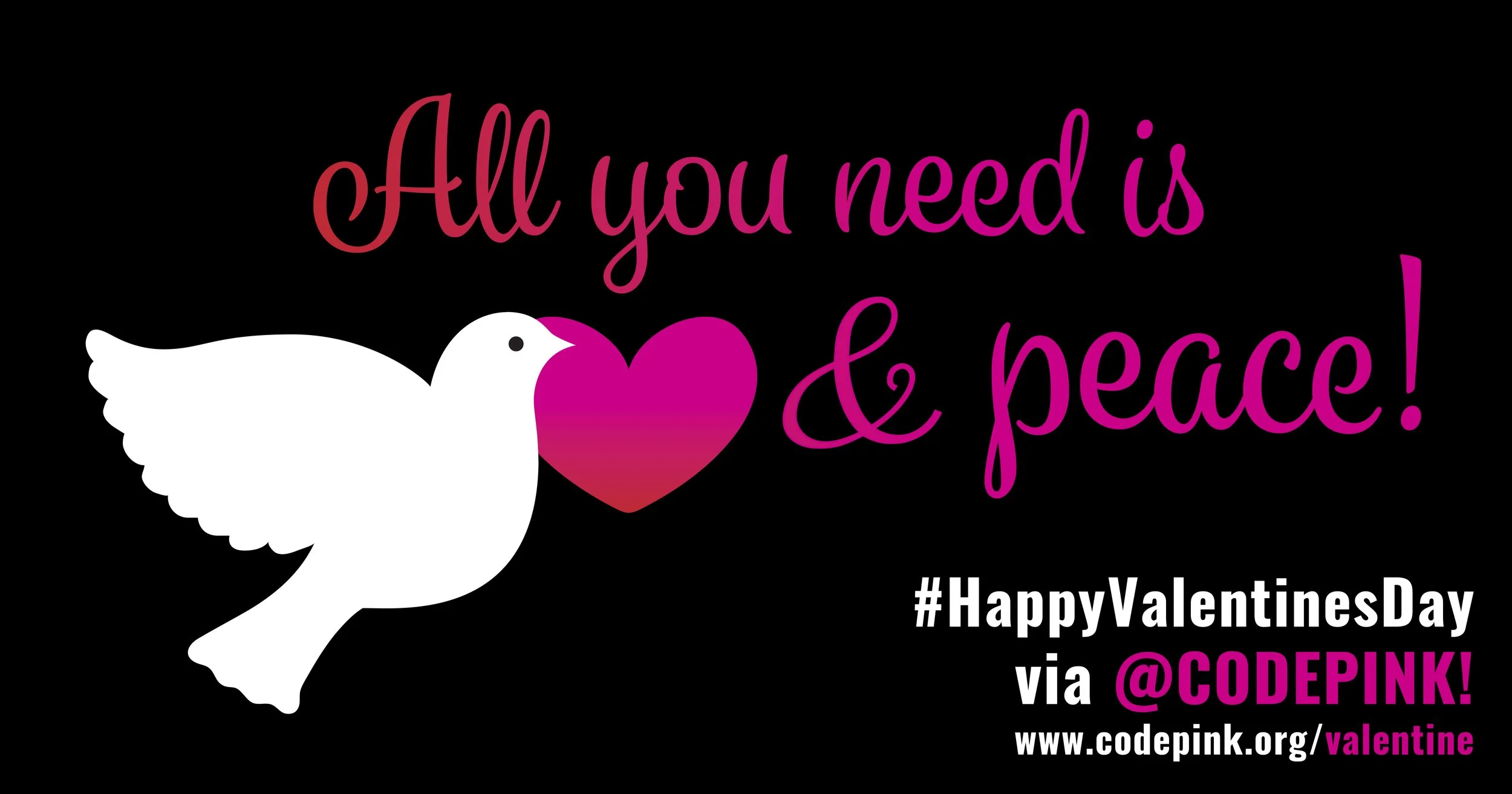 Love for the World, Love for CODEPINK