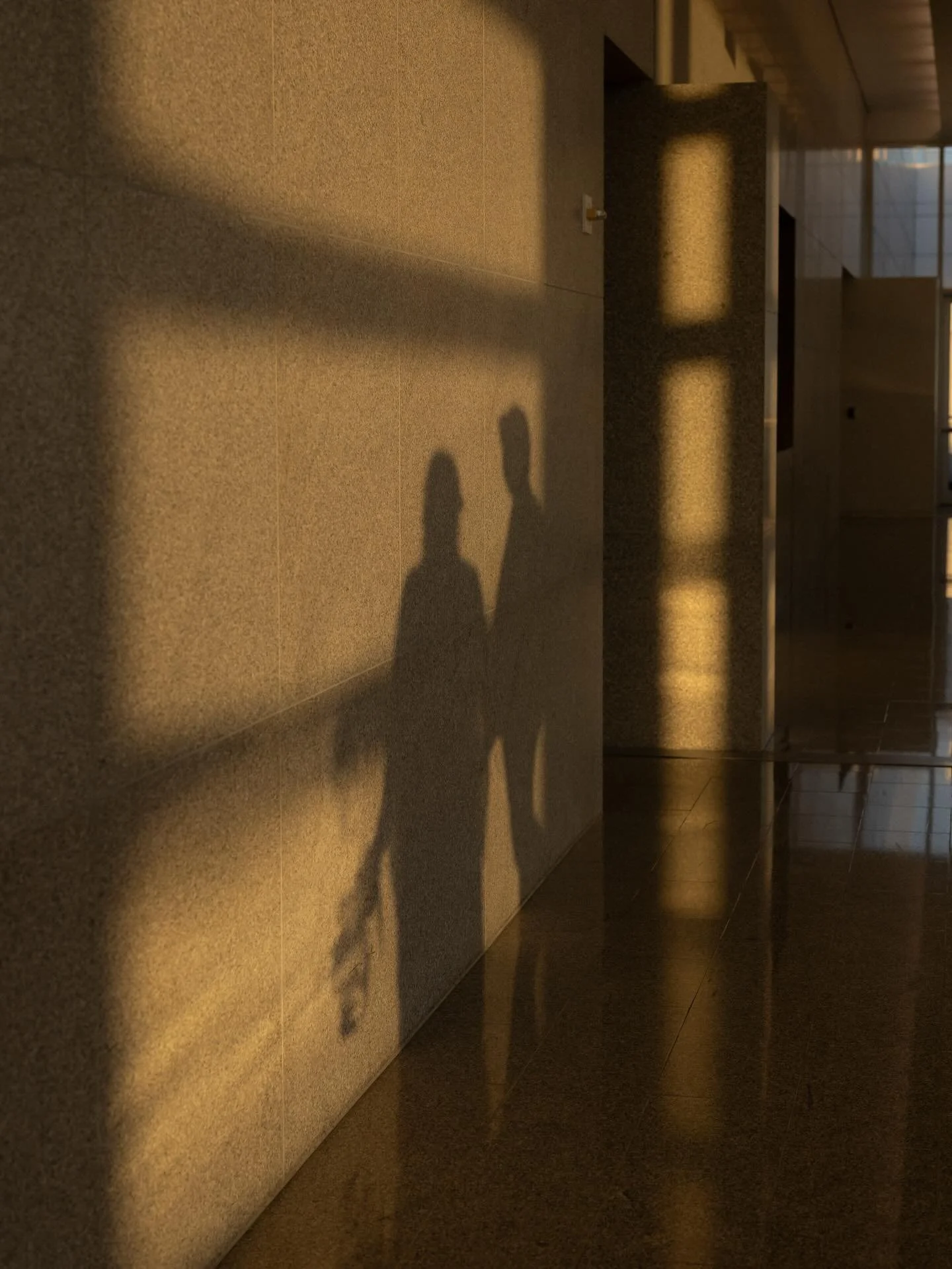 the way the sunlight moved through this hallway will live rent free in my brain forever I think 💭

I had about 5 minutes to capture these before j + p&rsquo;s courthouse wedding ceremony and omg I was so excited when I turned the corner and saw all 