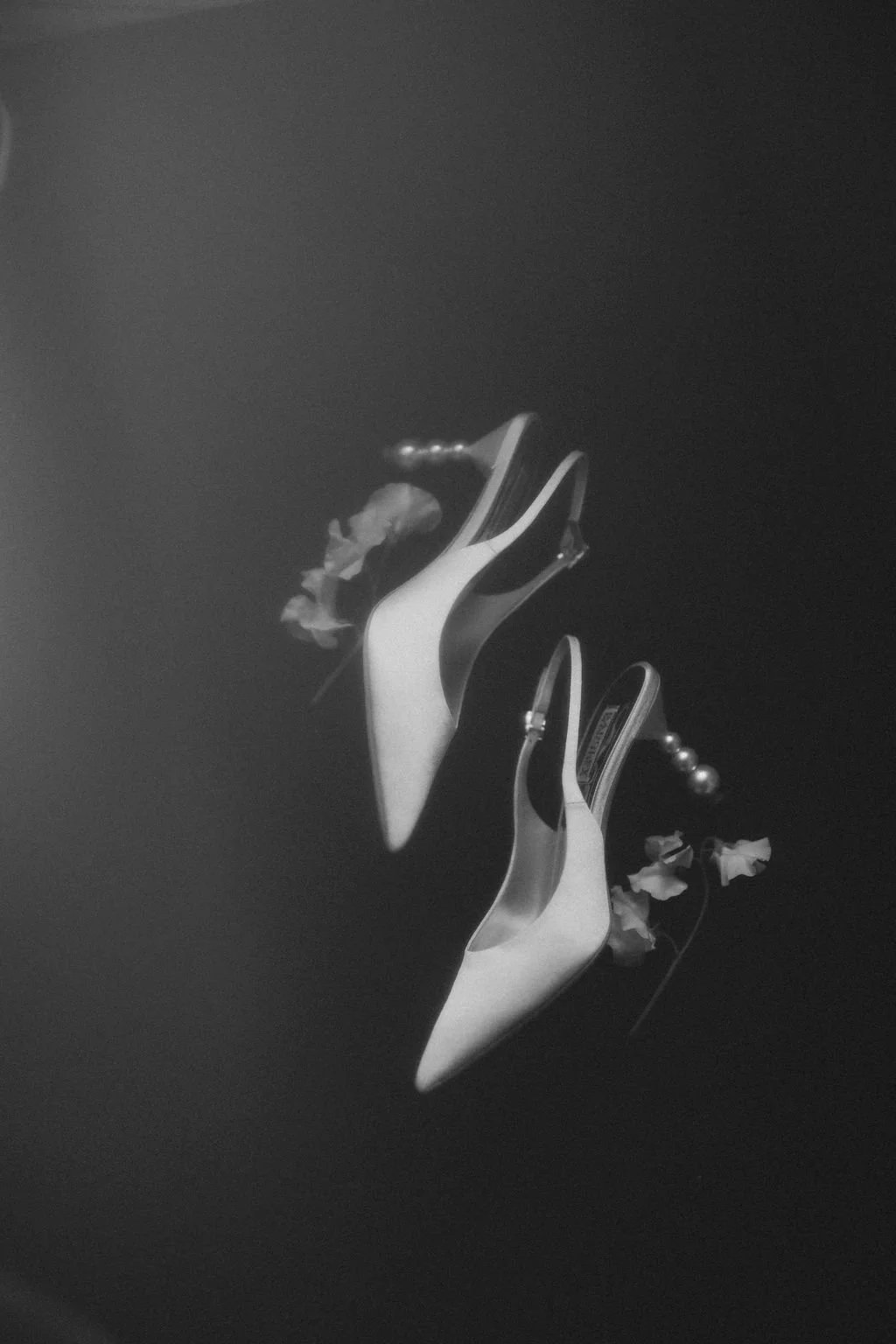 Previews-3.jpg