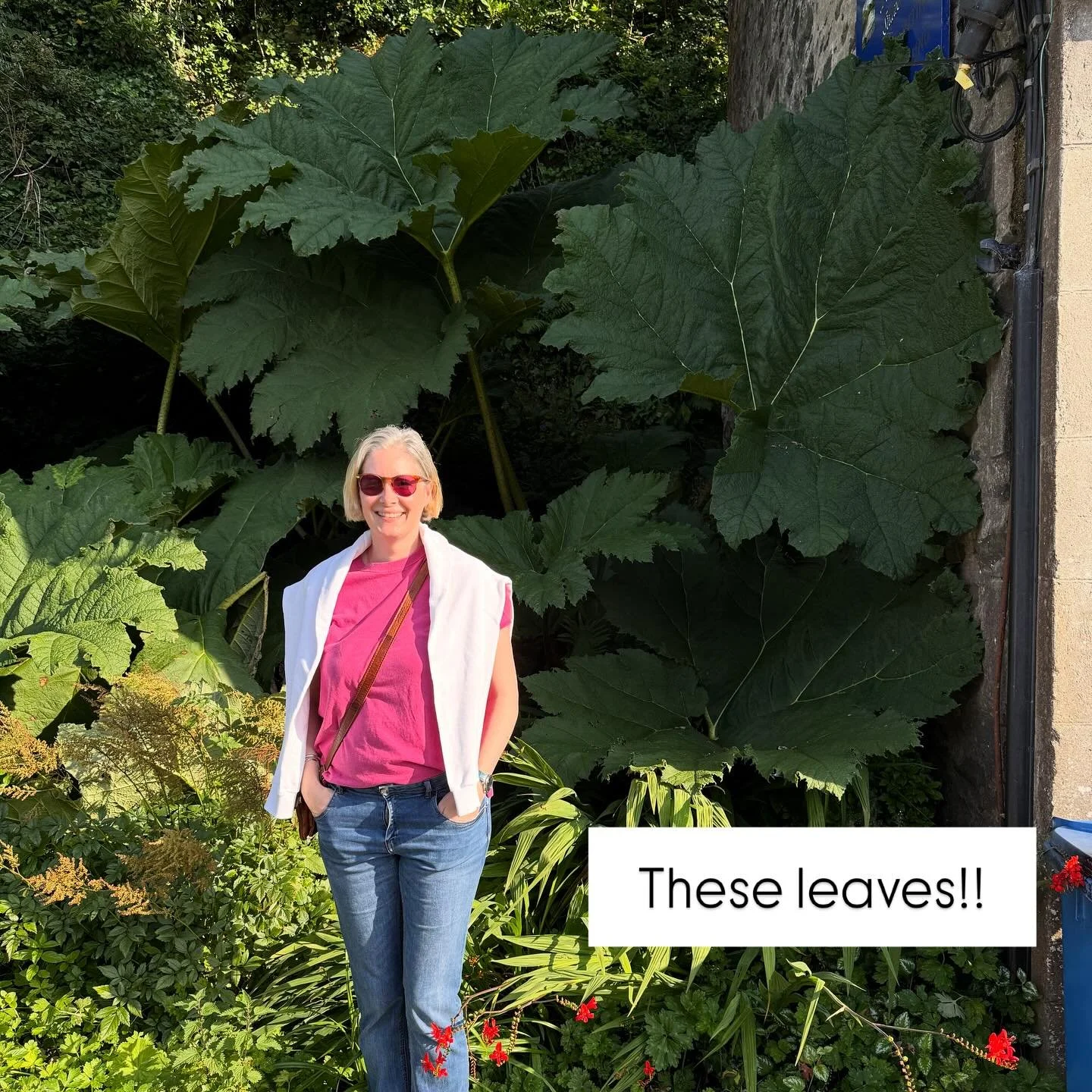 When I started looking at my environment and my world with fresh eyes, almost like a child, with a deep curiosity, my experience of those things changed.

It doesn&rsquo;t take much to shift your perspective on things you see, feel, and think. Yet th