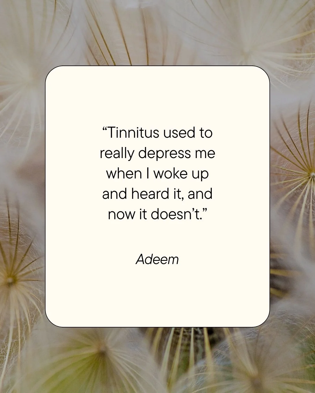 "Tinnitus used to really depress me when I woke up and heard it, and now it doesn't." ~ Adeem