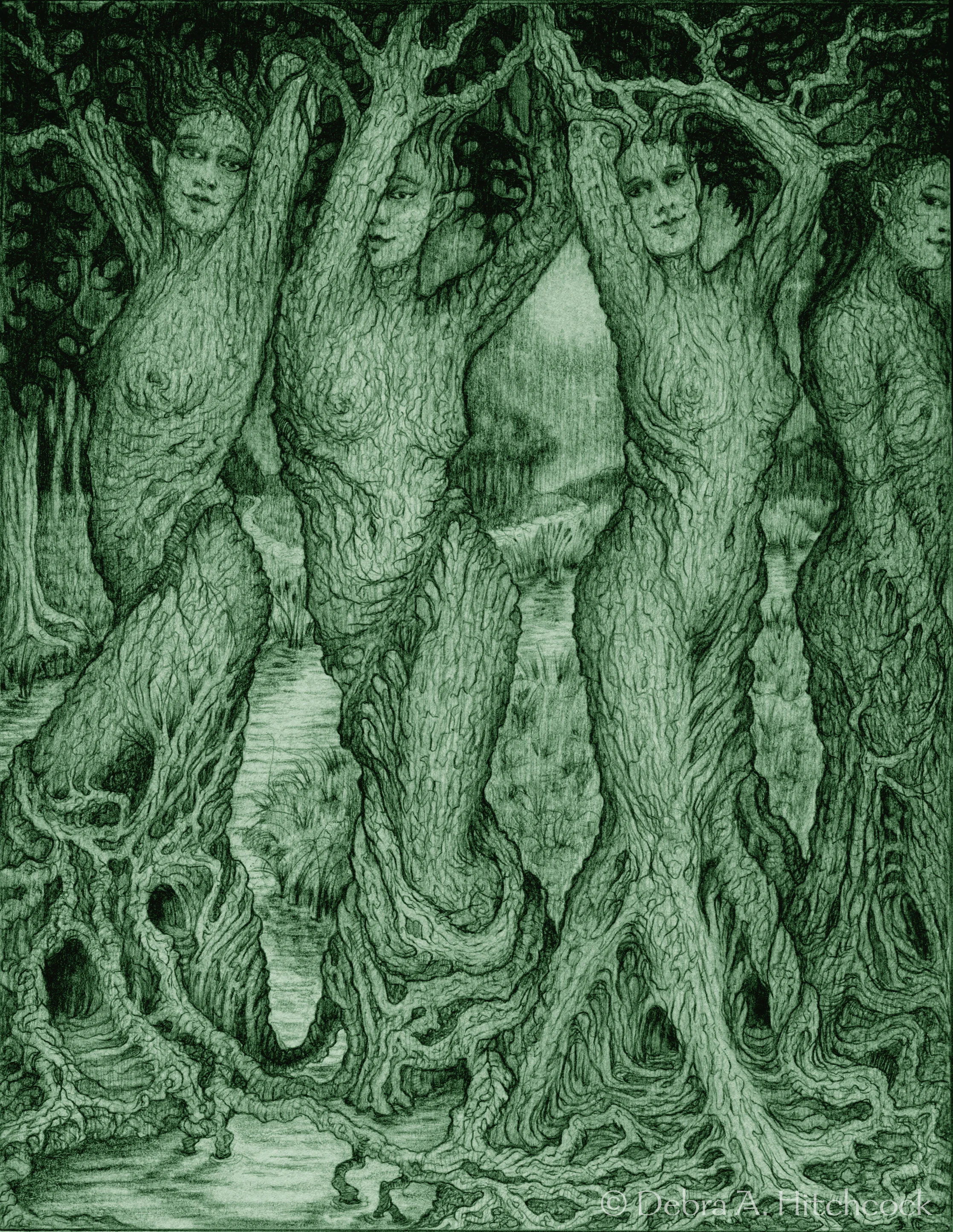The Dryads