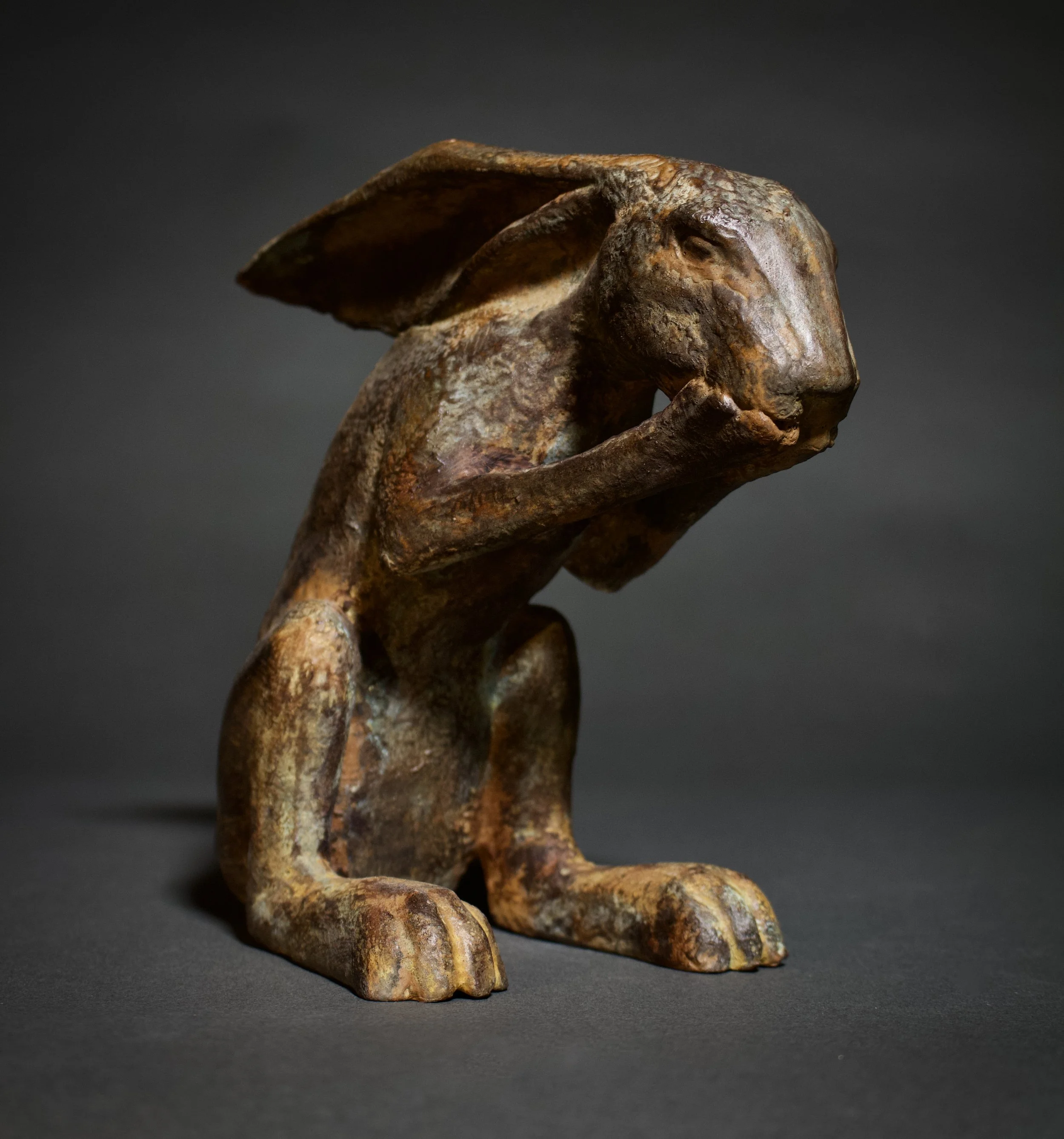 Laughing Hare — Tony Furtado