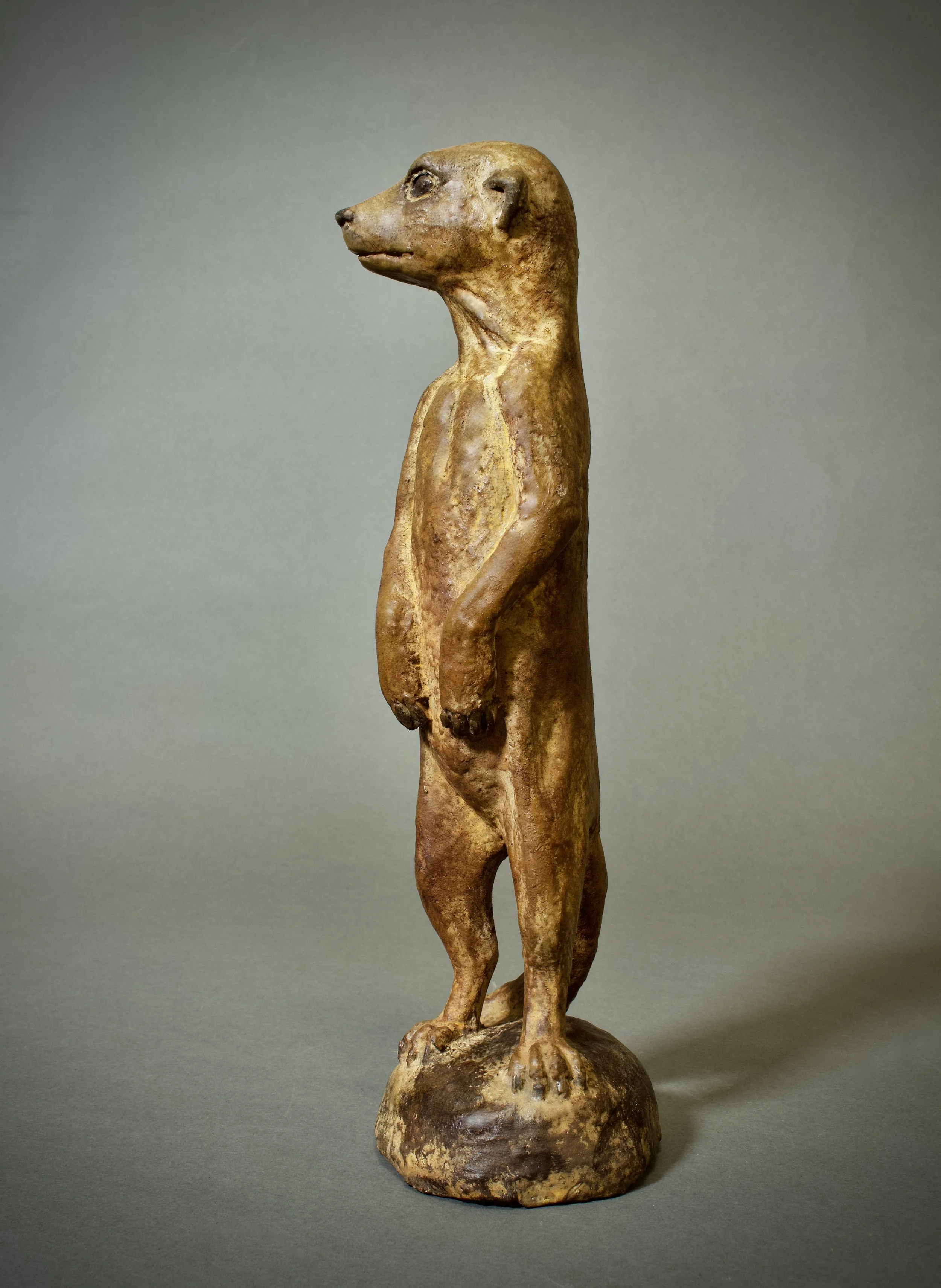 IMG_2504.jpeg