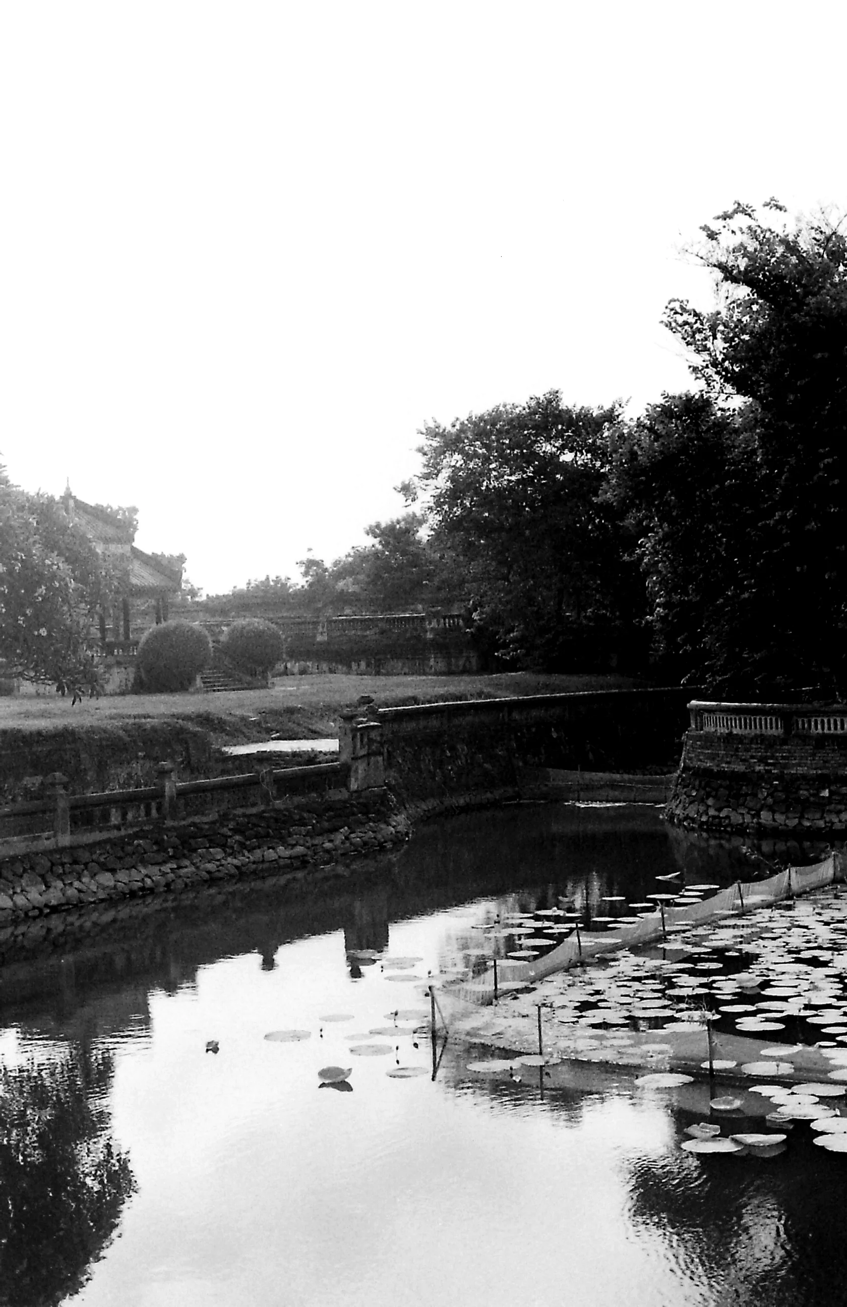 PICT0155.JPG