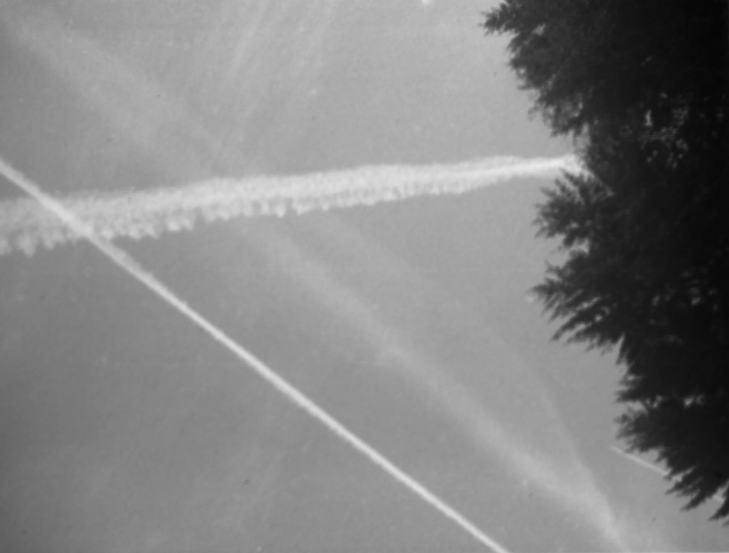39460011.JPG