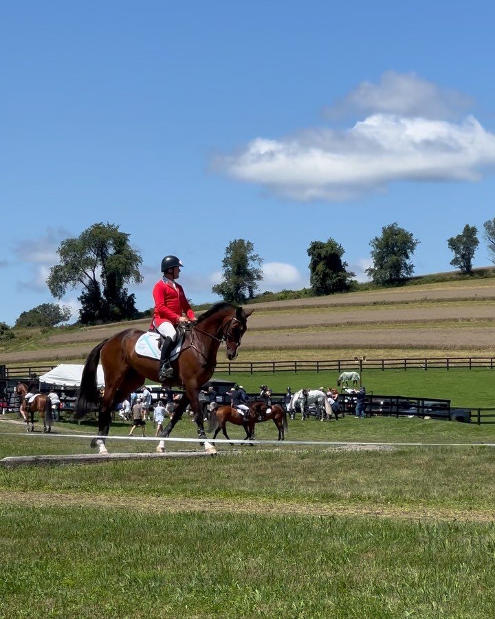 Thank you to Millbrook Horse Trials @millbrookht for a thrilling few days leading up to this past weekend and extending through it. The moment one entered along the road it was immediately evident an extraordinary sporting event was taking place, tru
