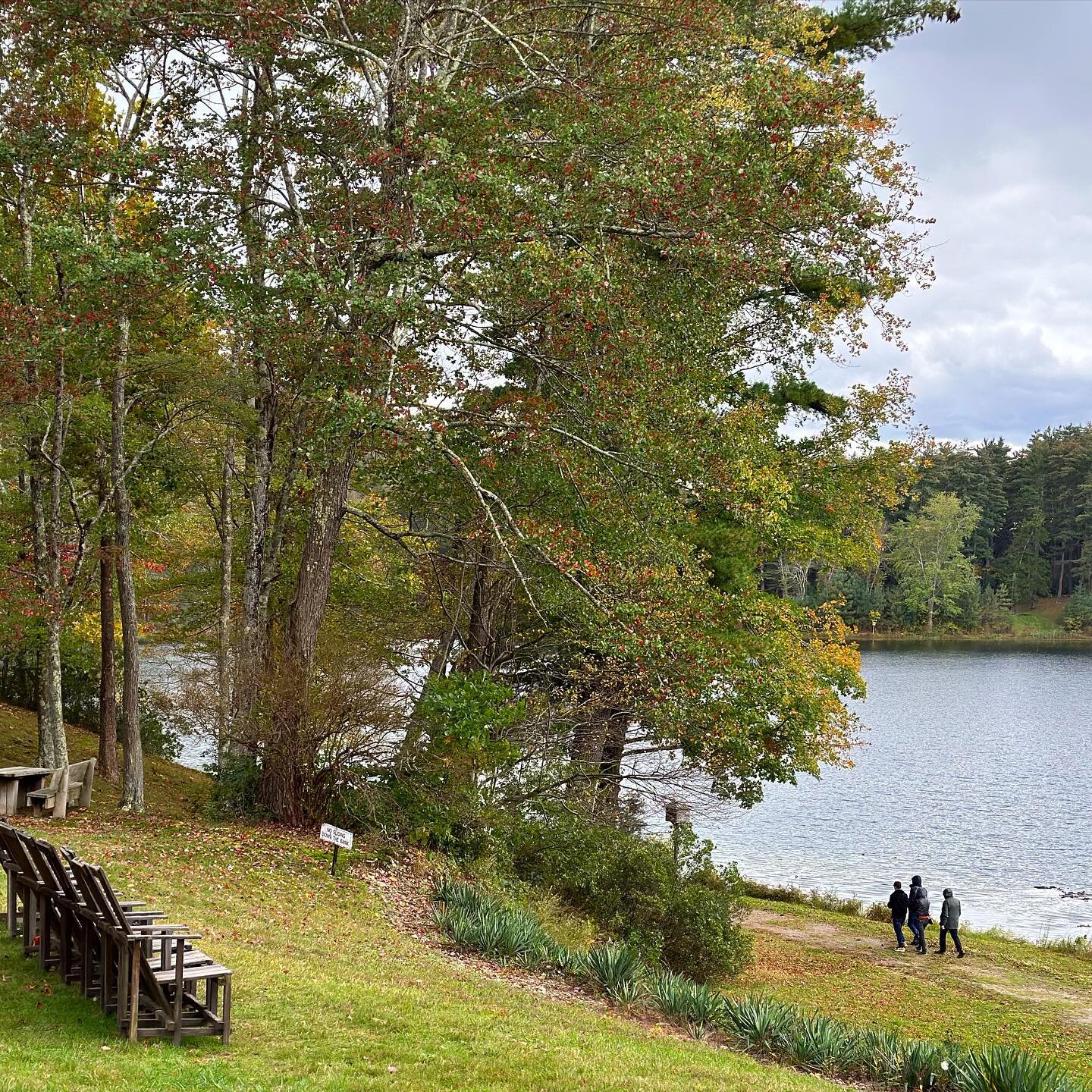 Innisfree Community Day
@innisfreegarden was celebrated this past Monday, October 9th. It included  opening at sunrise (6AM) to enjoy the morning light as it illuminated the garden, a curator&rsquo;s tour, a sold out fine art embroidery workshop with