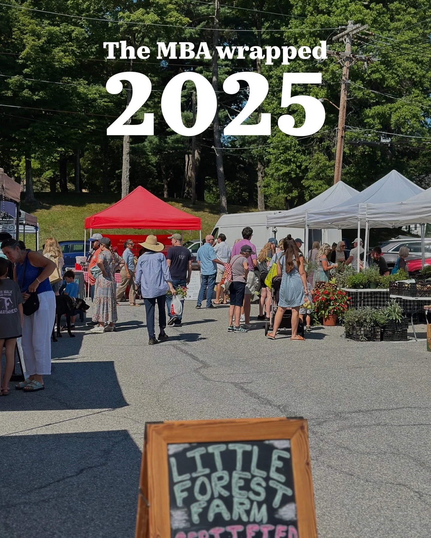 That&rsquo;s a wrap on 2025 &mdash; a banner year 💚 Here&rsquo;s to making more memories in 2026 🍾

📸 credits
1-9, 11-15, 17-18, 20) @sf.milano.ny @de.mo 
10) @houseofstefas 
16) Christina Dimitriadis
19) @reardonbriggs