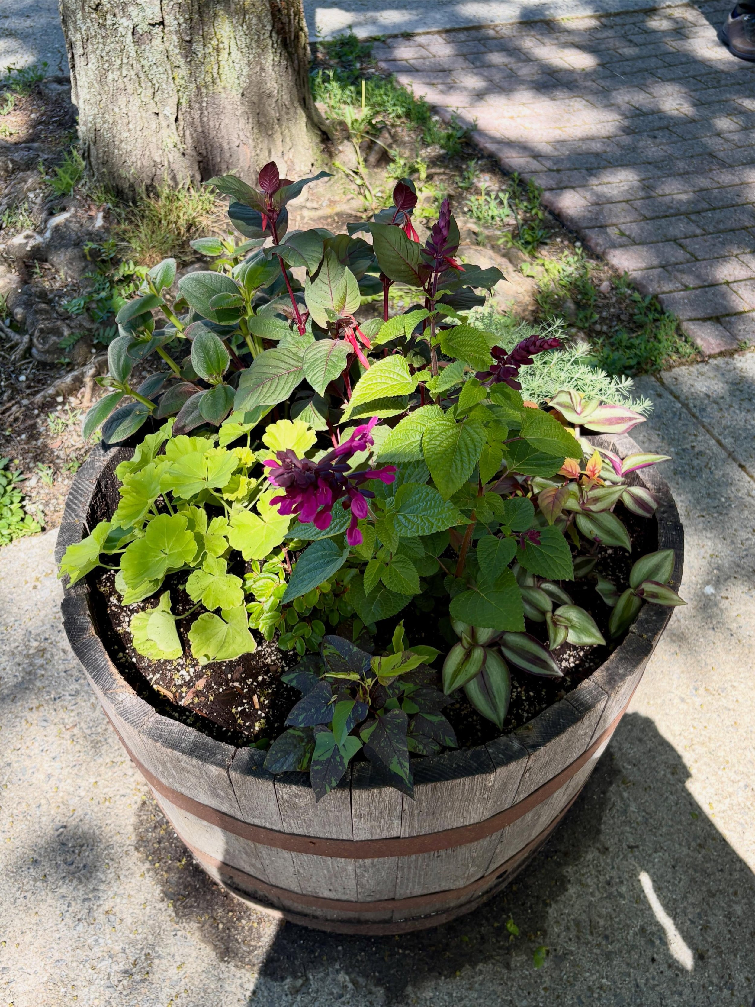 Tomorrow, before or after visiting the @millbrookfarmersmarket, take a walk up and down Franklin Avenue. The flower barrels are back, and this season&rsquo;s are something else.

All 30 are designed, planted, and tended by @bravenewgarden. Each one i