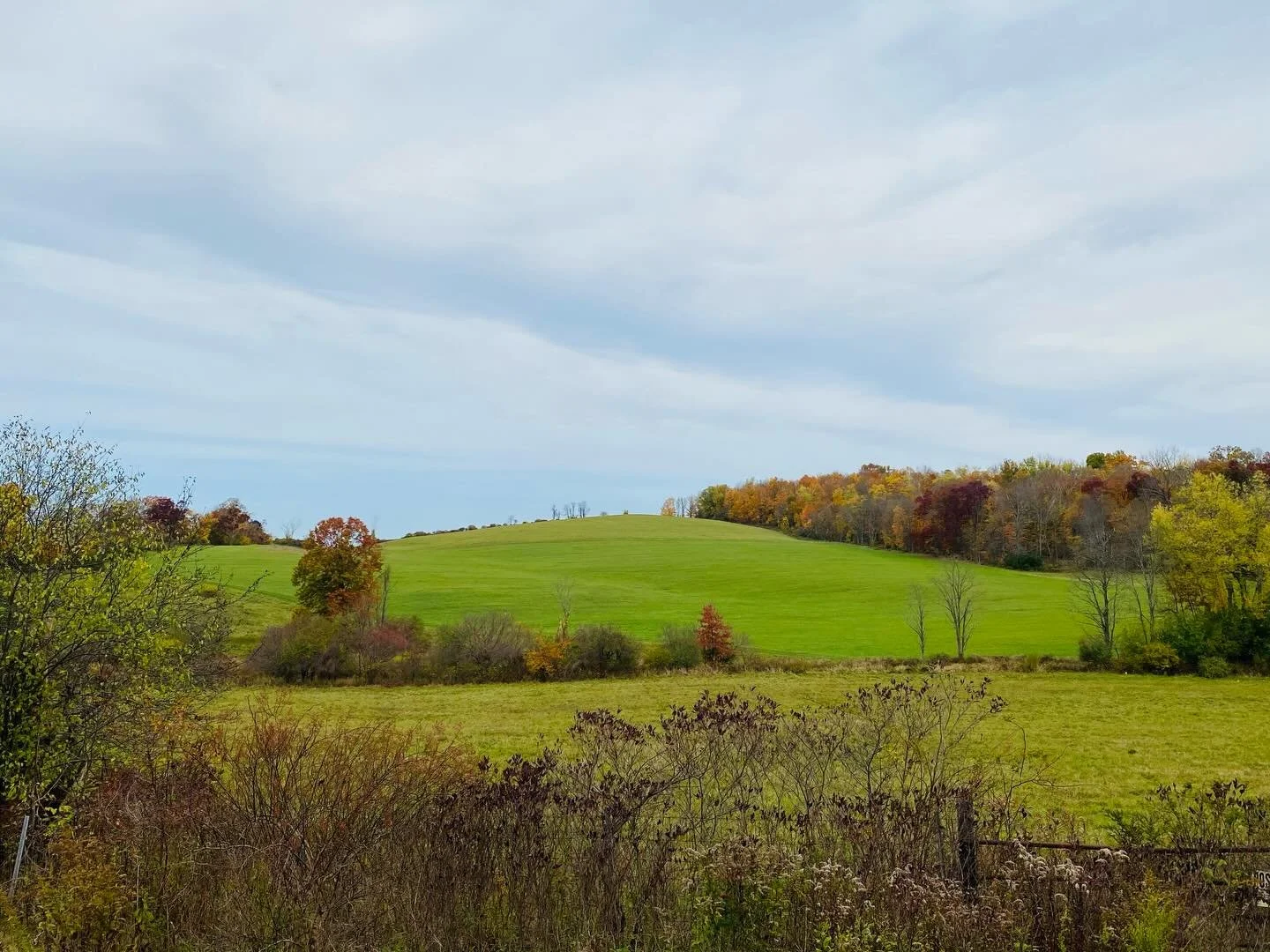 Millbrook is the kind of place where people come on purpose.

Visitors plan day trips here. New residents choose this town. People drive from the city just to walk Franklin Ave and find something they didn&rsquo;t know they needed.

The MBA exists to