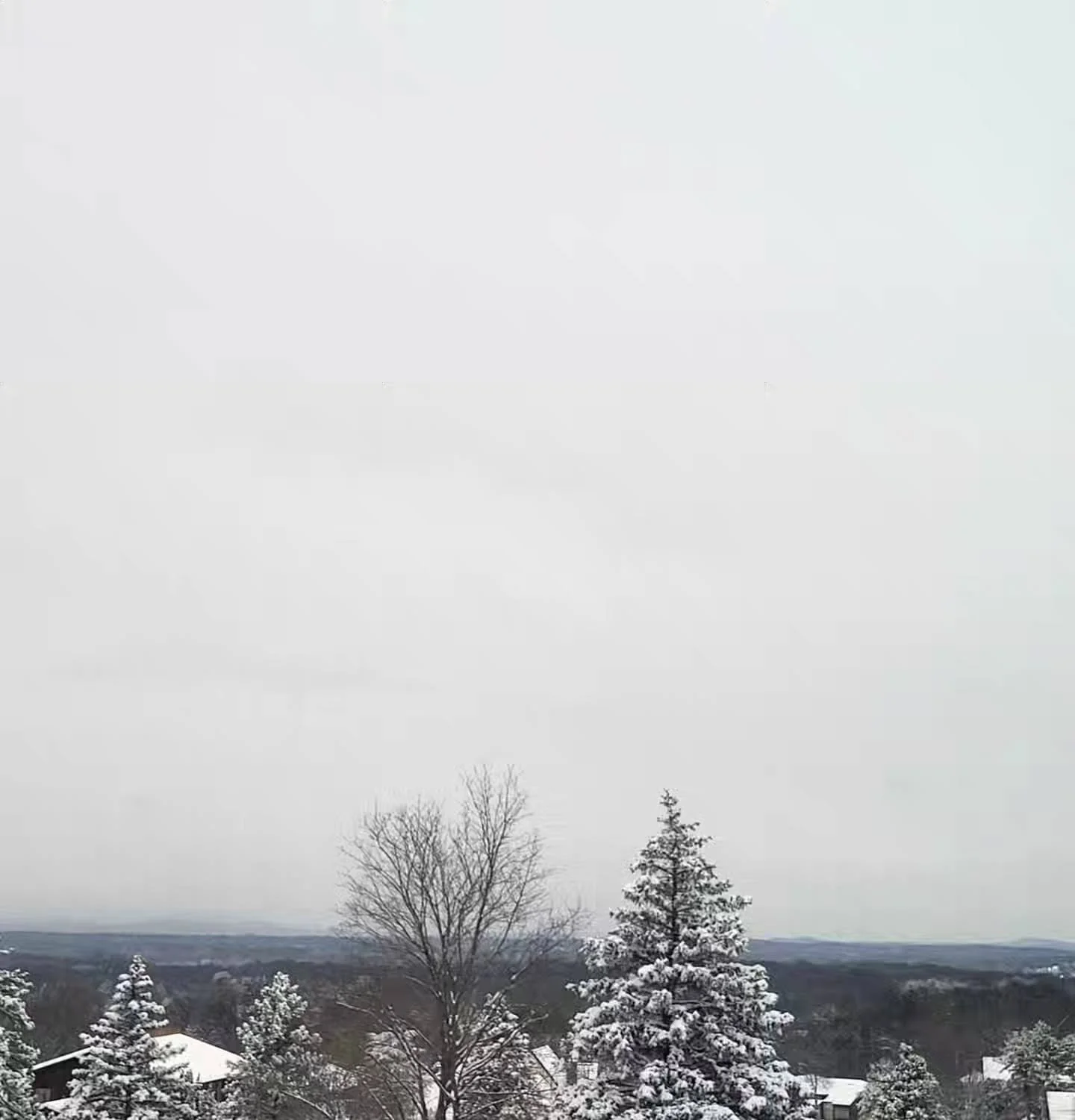 Christmas in the Catskills never disappoints, and we're officially in a New York winter wonderland!
❄️🌲🏔🌟
I absolutely love this time of year! We've gotten such a good bench break and have been resting, relaxing, researching, sketching, and most i