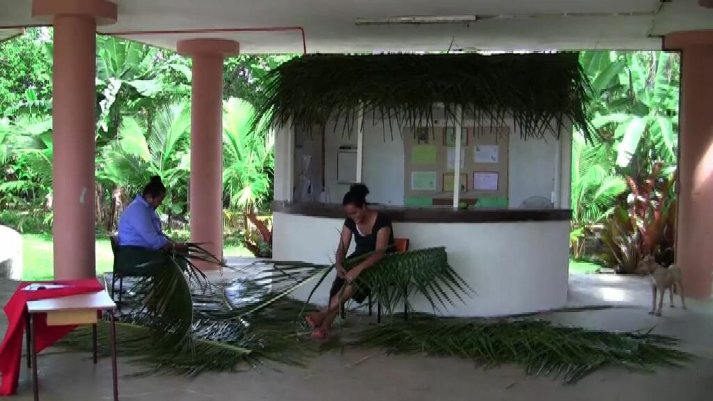 PalmTreeMaking.jpeg