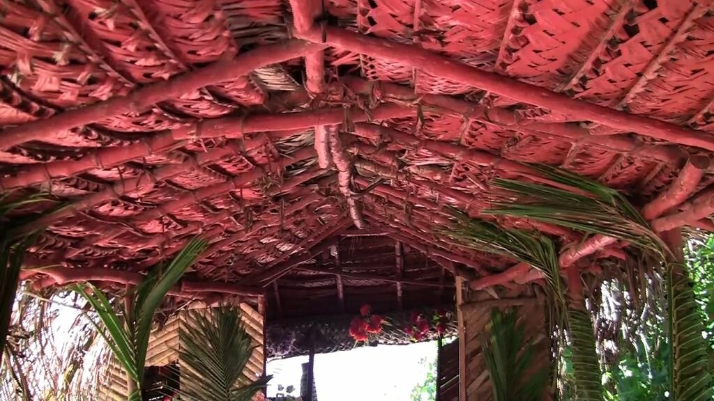 ThatchedHut.INTroof.jpeg